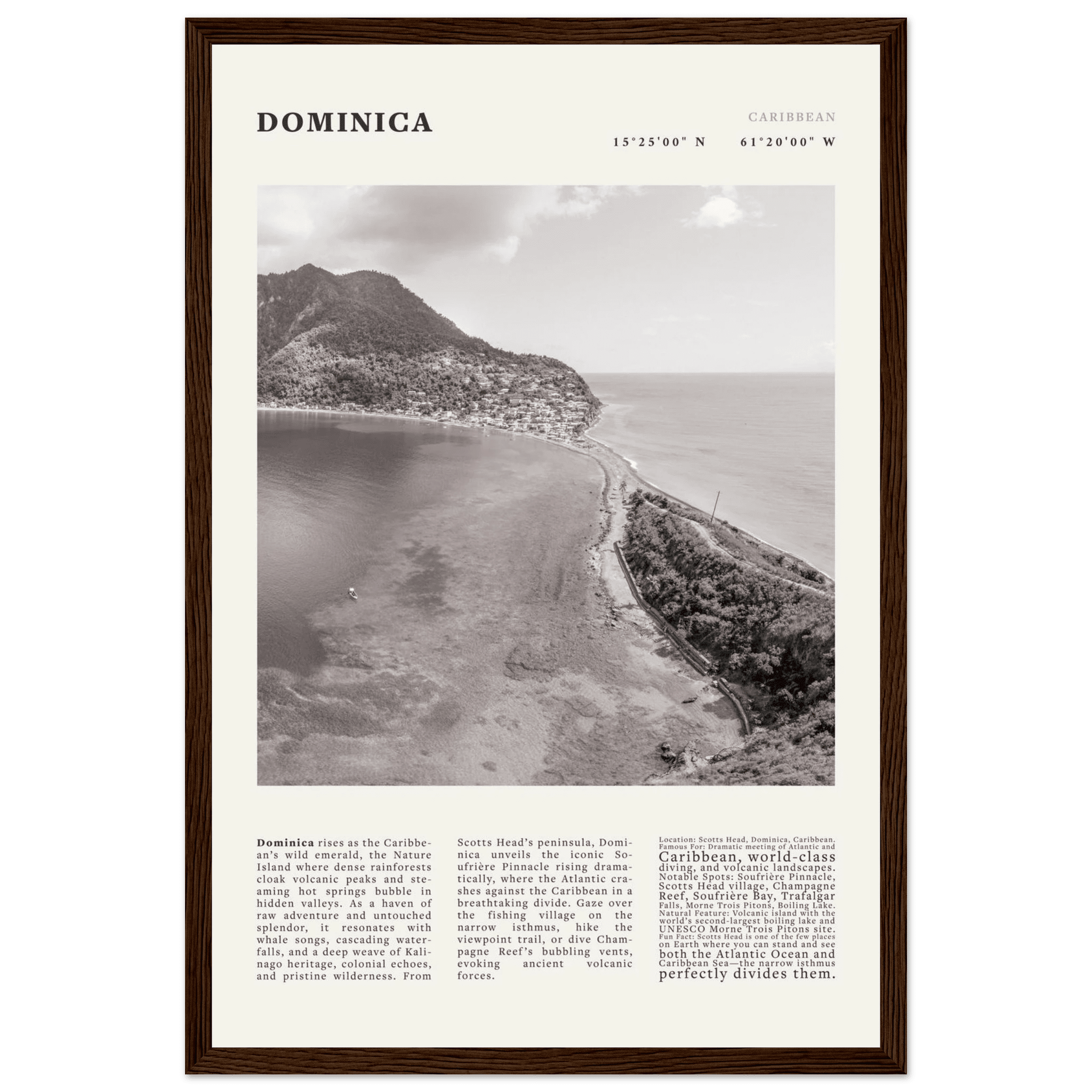 Dominica Poster Black and White – Vintage Caribbean Rainforest Island Print (Digital & Printed Options) - Evergreen Posters