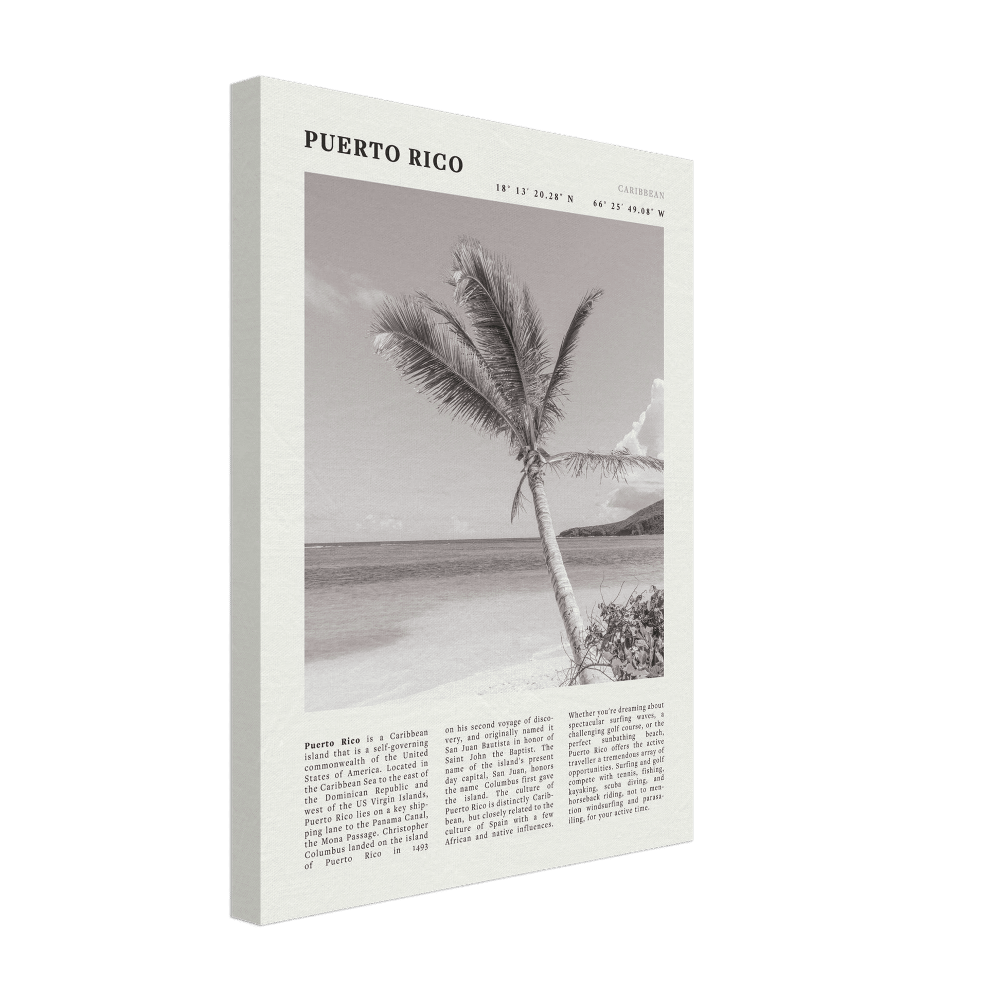 Puerto Rico Poster Black and White – Vintage Caribbean Palm Beach Print (Digital & Printed Options) - Evergreen Posters