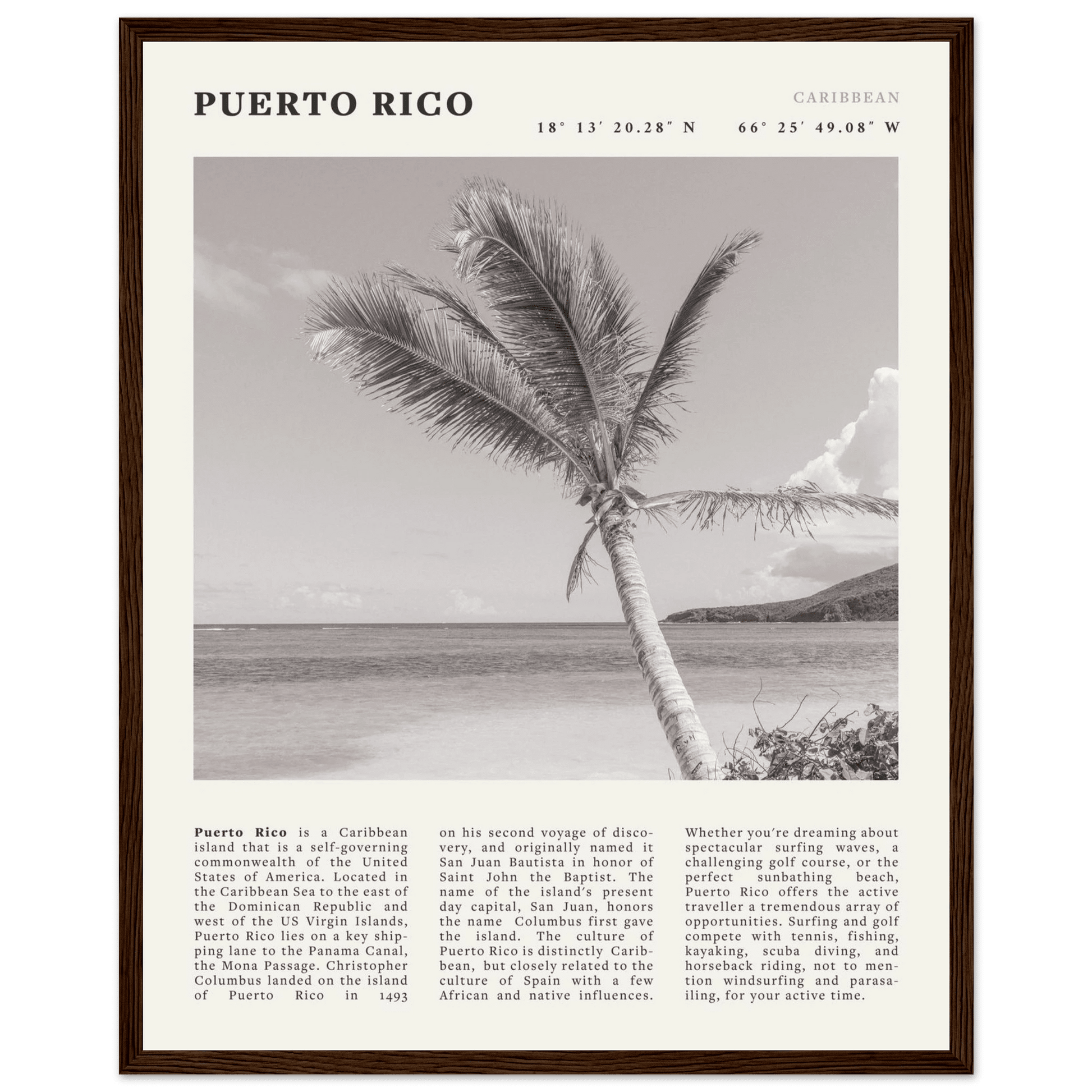 Puerto Rico Poster Black and White – Vintage Caribbean Palm Beach Print (Digital & Printed Options) - Evergreen Posters