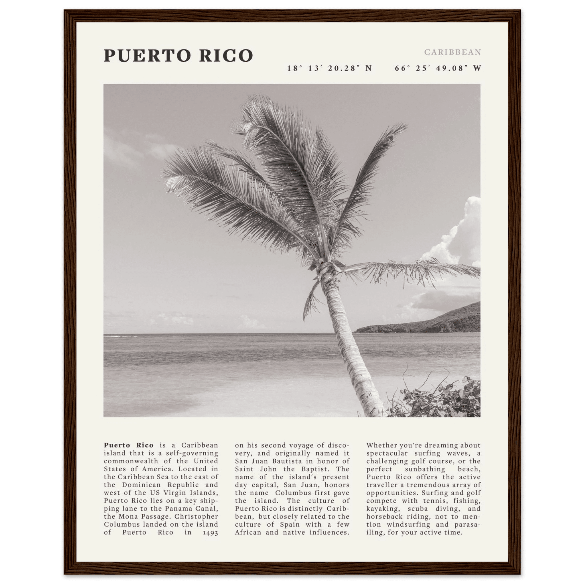 Puerto Rico Poster Black and White – Vintage Caribbean Palm Beach Print (Digital & Printed Options) - Evergreen Posters