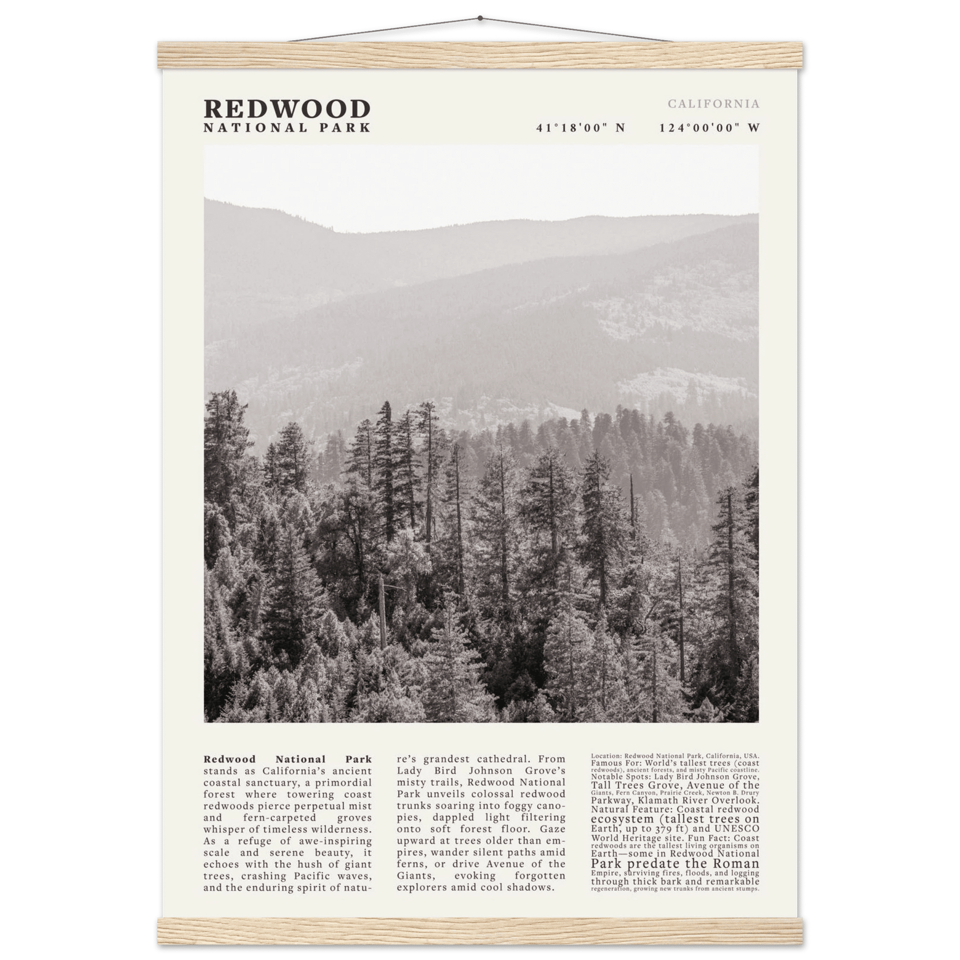 Redwood National Park Poster Black and White – Vintage Foggy Redwood Forest Print - Evergreen Posters