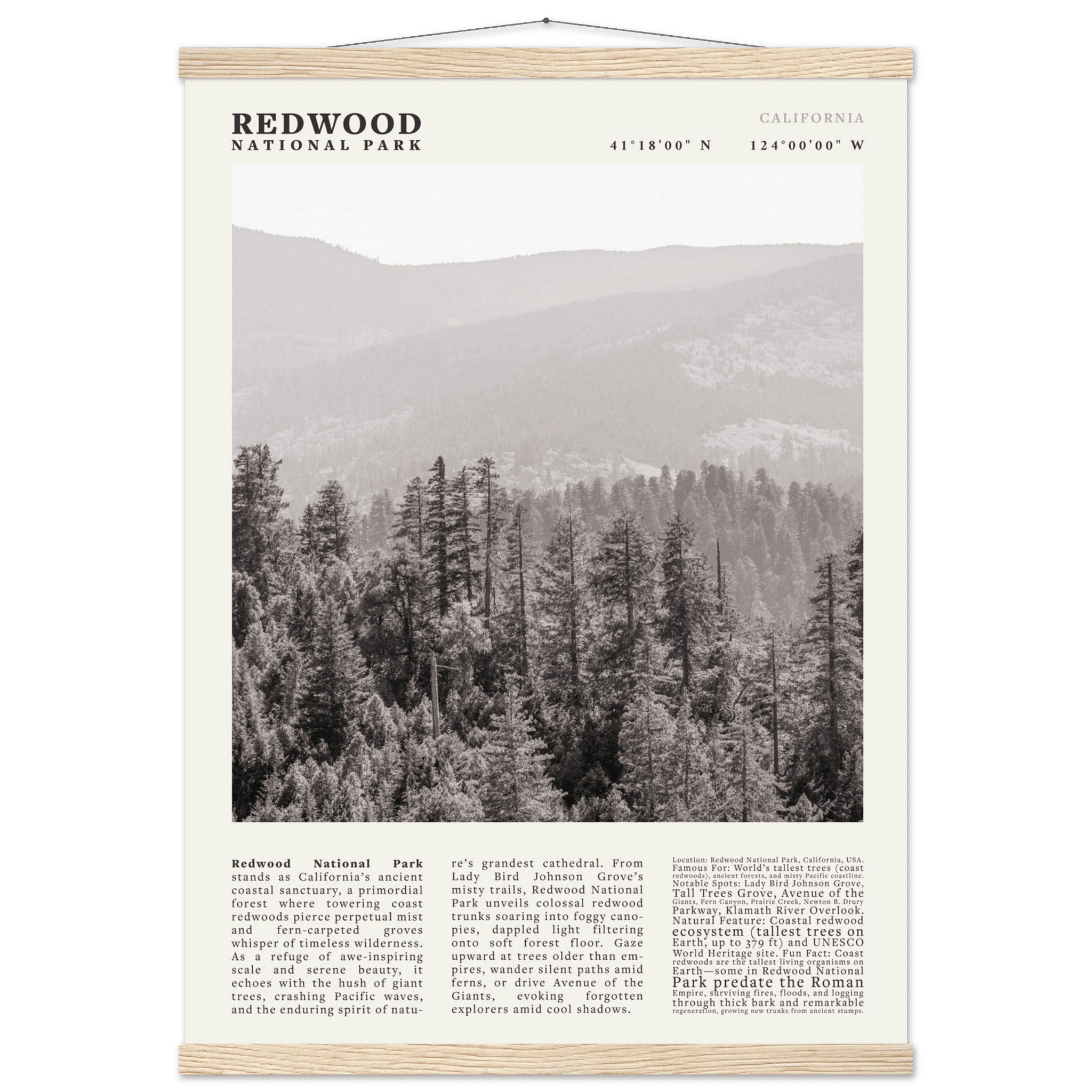 Redwood National Park Poster Black and White – Vintage Foggy Redwood Forest Print - Evergreen Posters