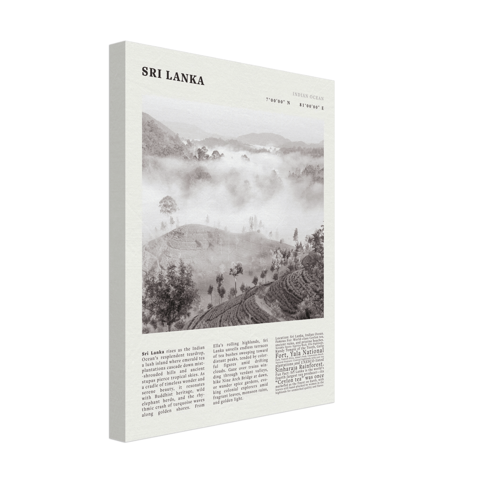 Sri Lanka Poster Black and White – Vintage Ceylon Tea Plantation Print (Digital & Printed Options) - Evergreen Posters