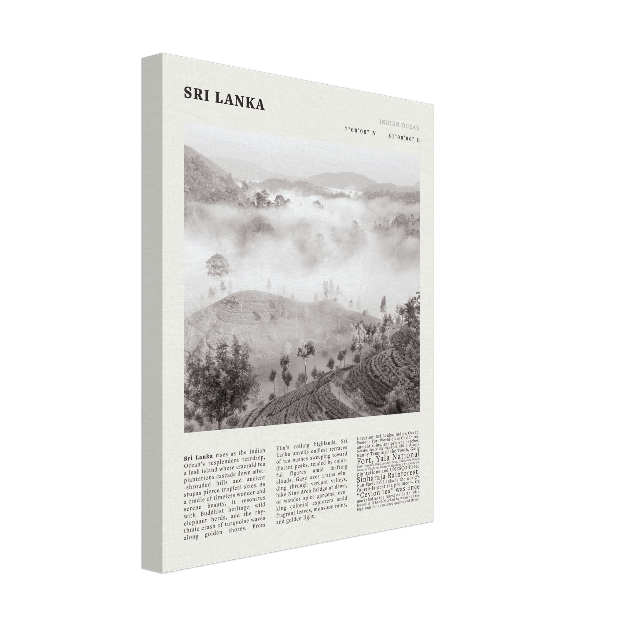 Sri Lanka Poster Black and White – Vintage Ceylon Tea Plantation Print (Digital & Printed Options) - Evergreen Posters