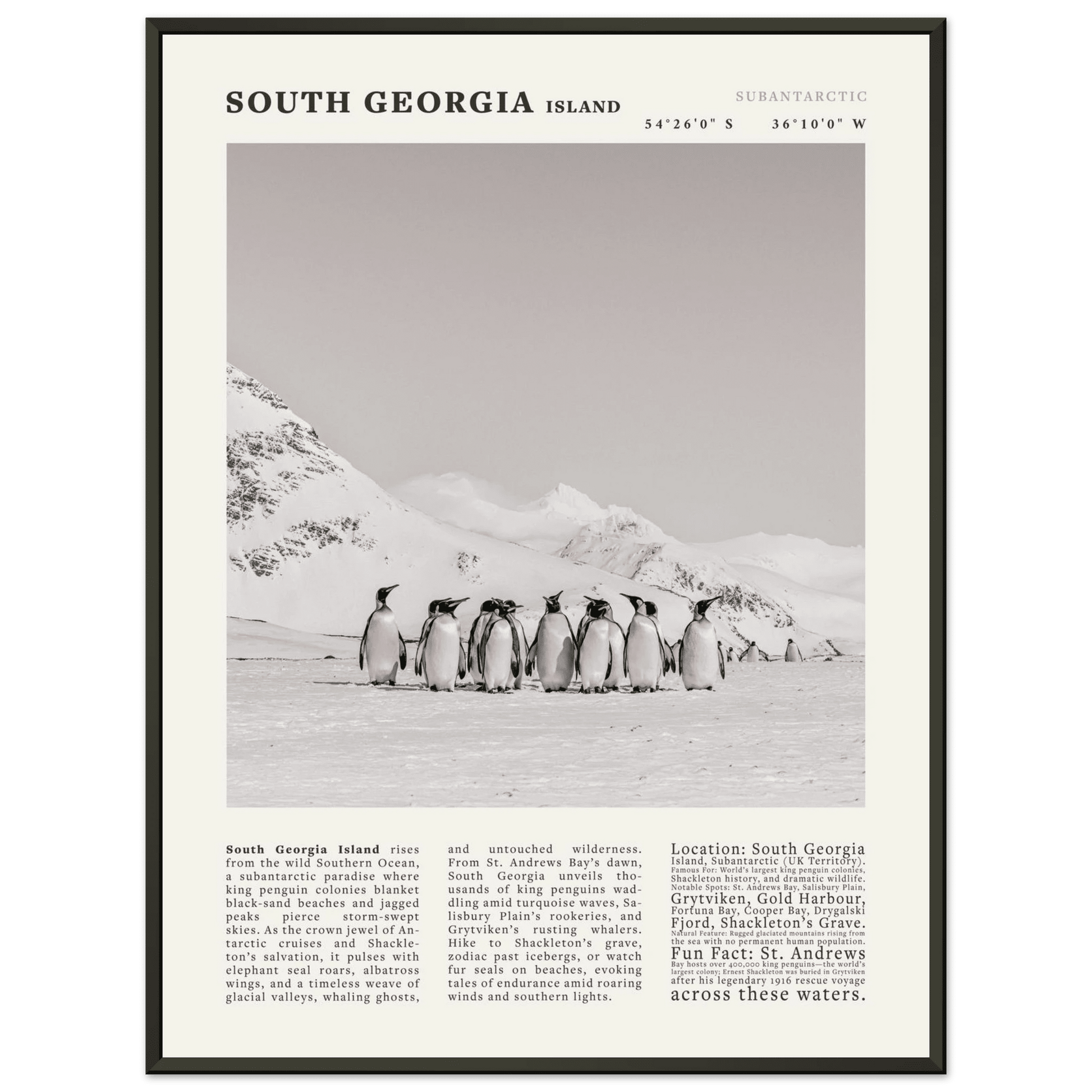 South Georgia Island Black and White Vintage Poster - Evergreen Posters