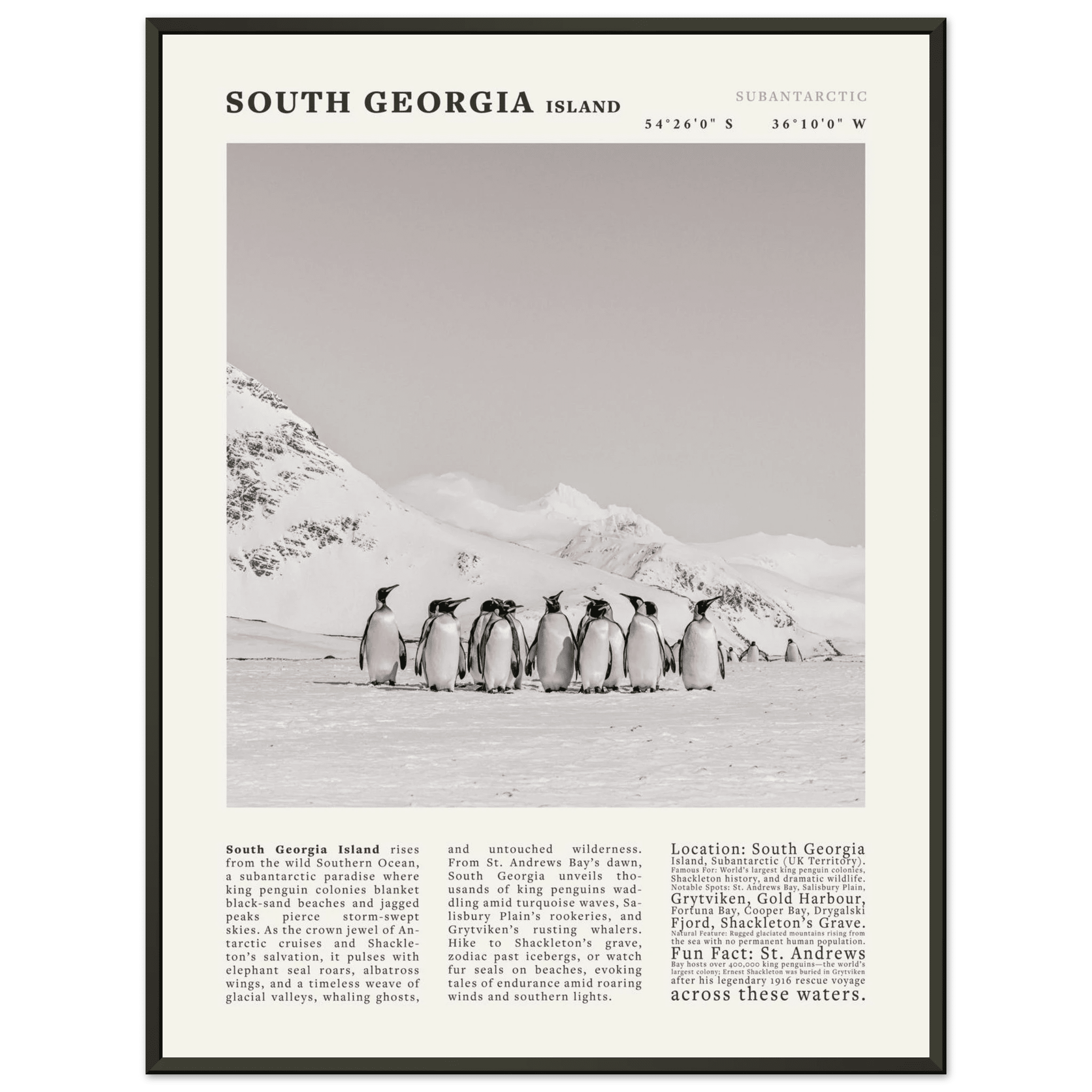 South Georgia Island Black and White Vintage Poster - Evergreen Posters