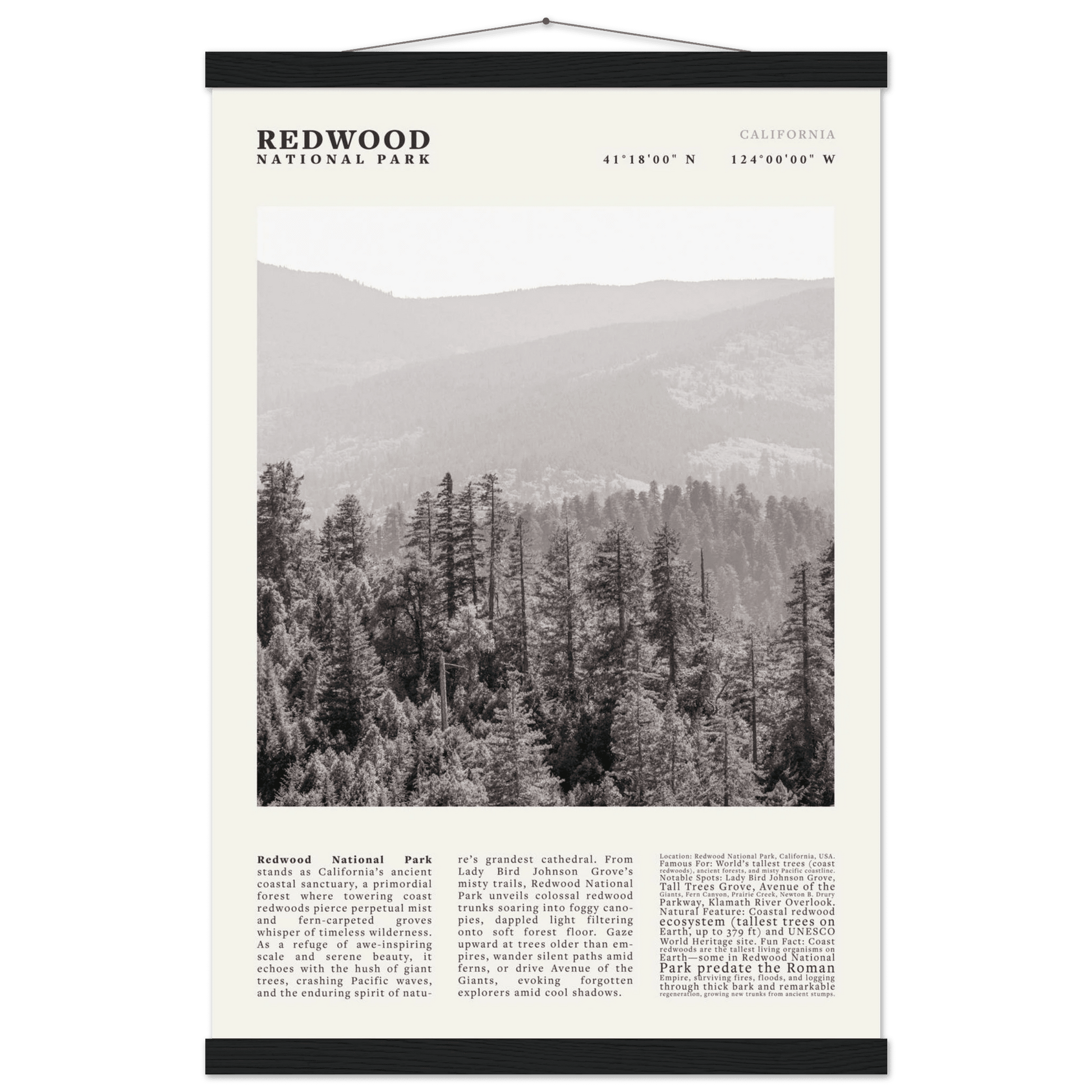 Redwood National Park Poster Black and White – Vintage Foggy Redwood Forest Print - Evergreen Posters