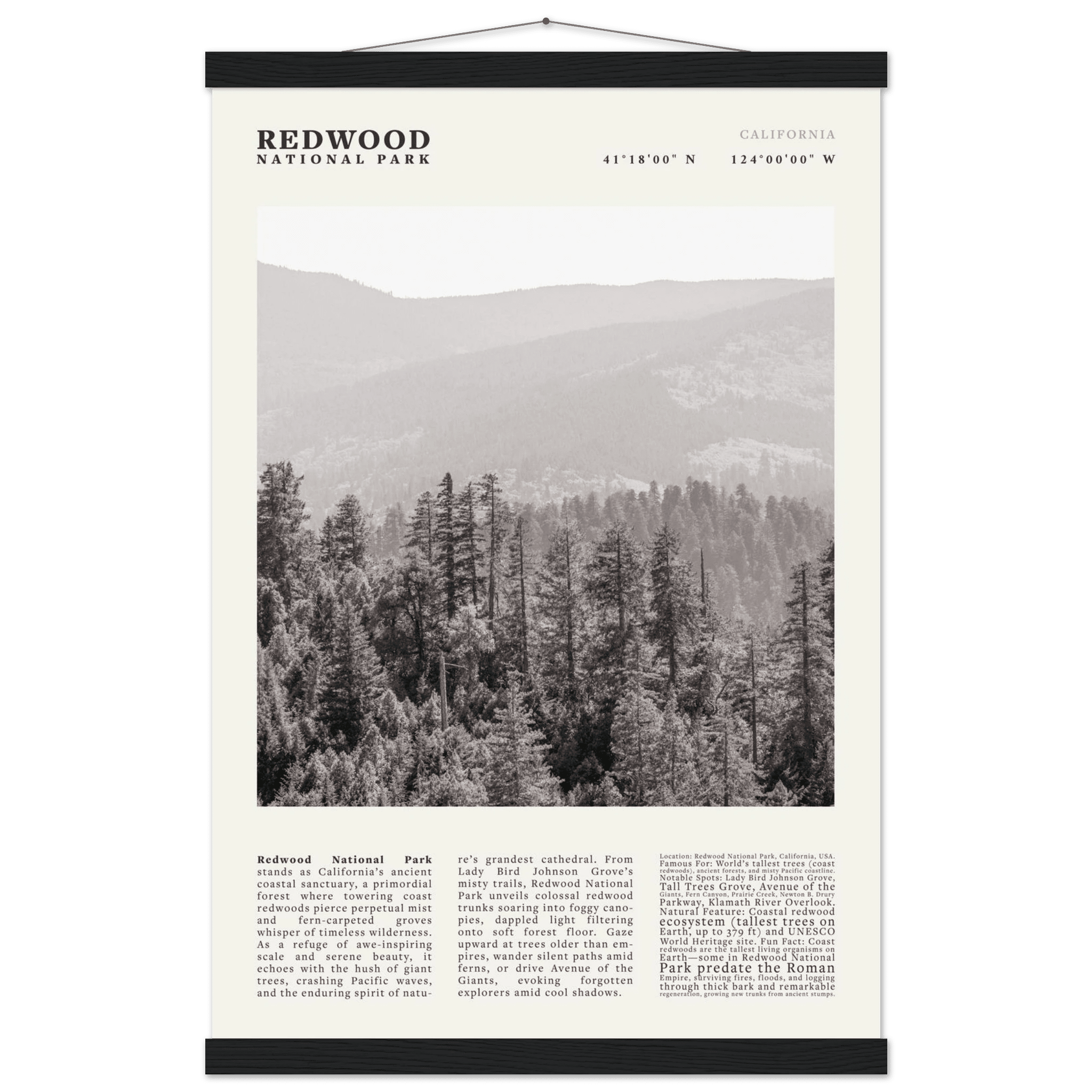 Redwood National Park Poster Black and White – Vintage Foggy Redwood Forest Print - Evergreen Posters