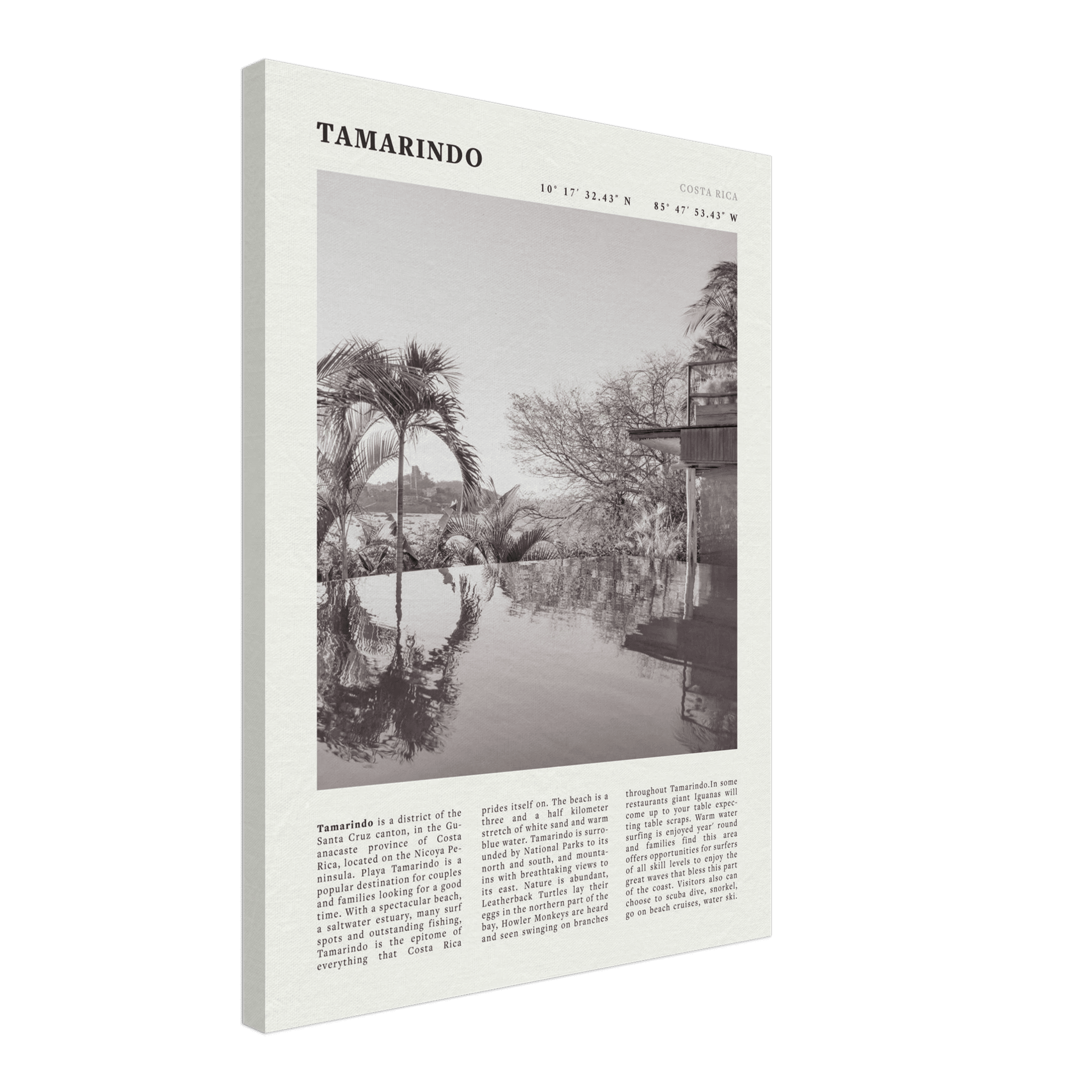 Tamarindo Poster | Black & White Costa Rica Beach Wall Art | Surf Travel Print - Evergreen Posters