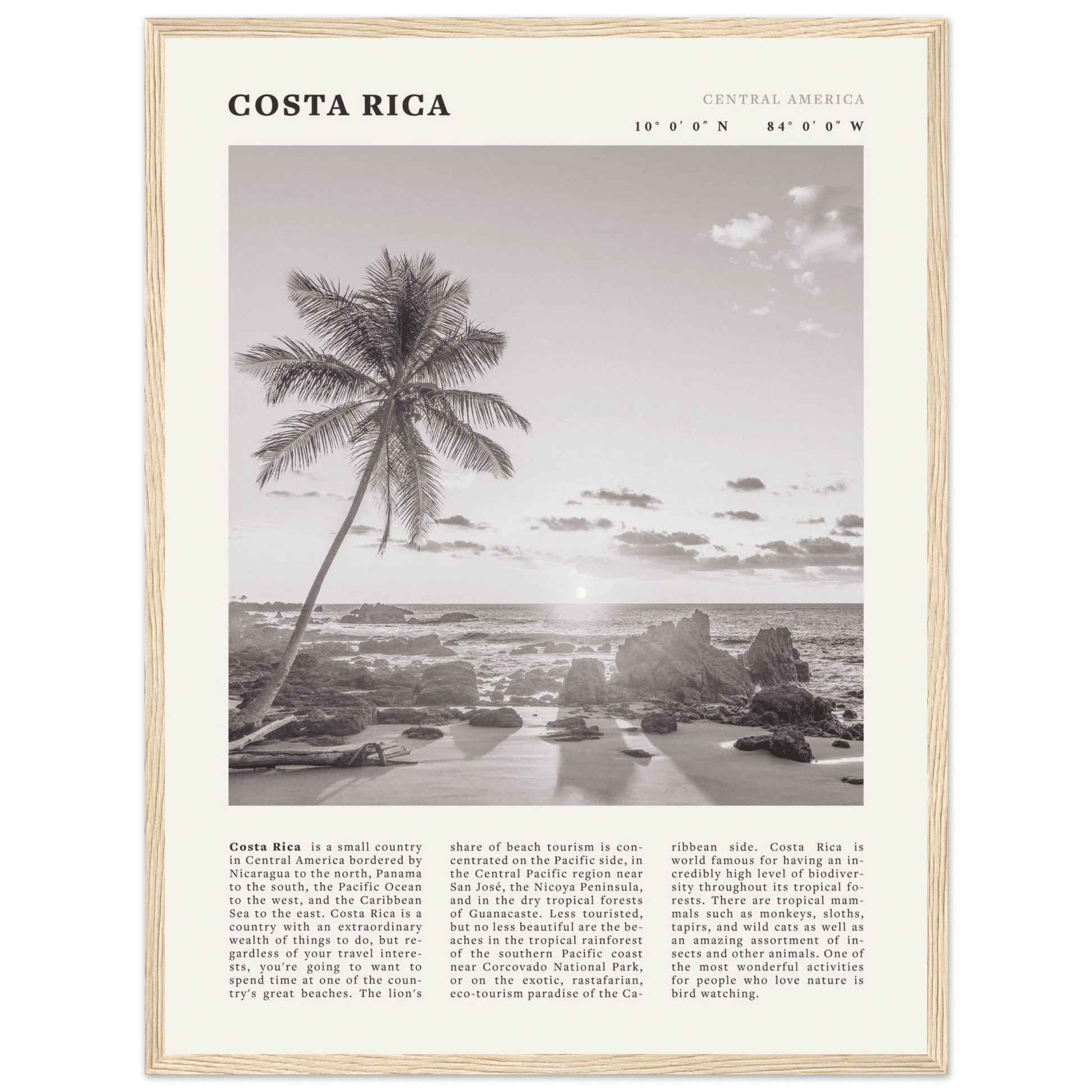 Costa Rica Poster | Black & White Palm Tree Beach Wall Art | Travel Print Decor - Evergreen Posters