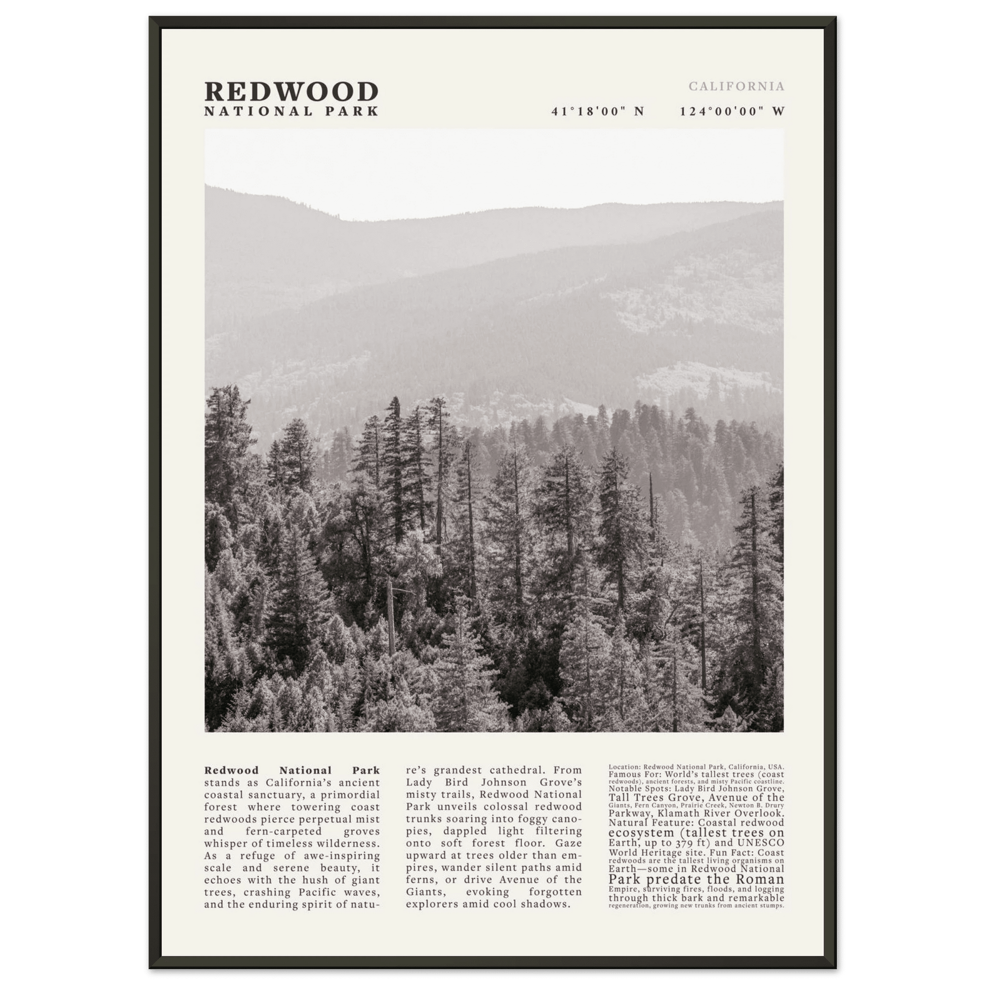 Redwood National Park Poster Black and White – Vintage Foggy Redwood Forest Print - Evergreen Posters