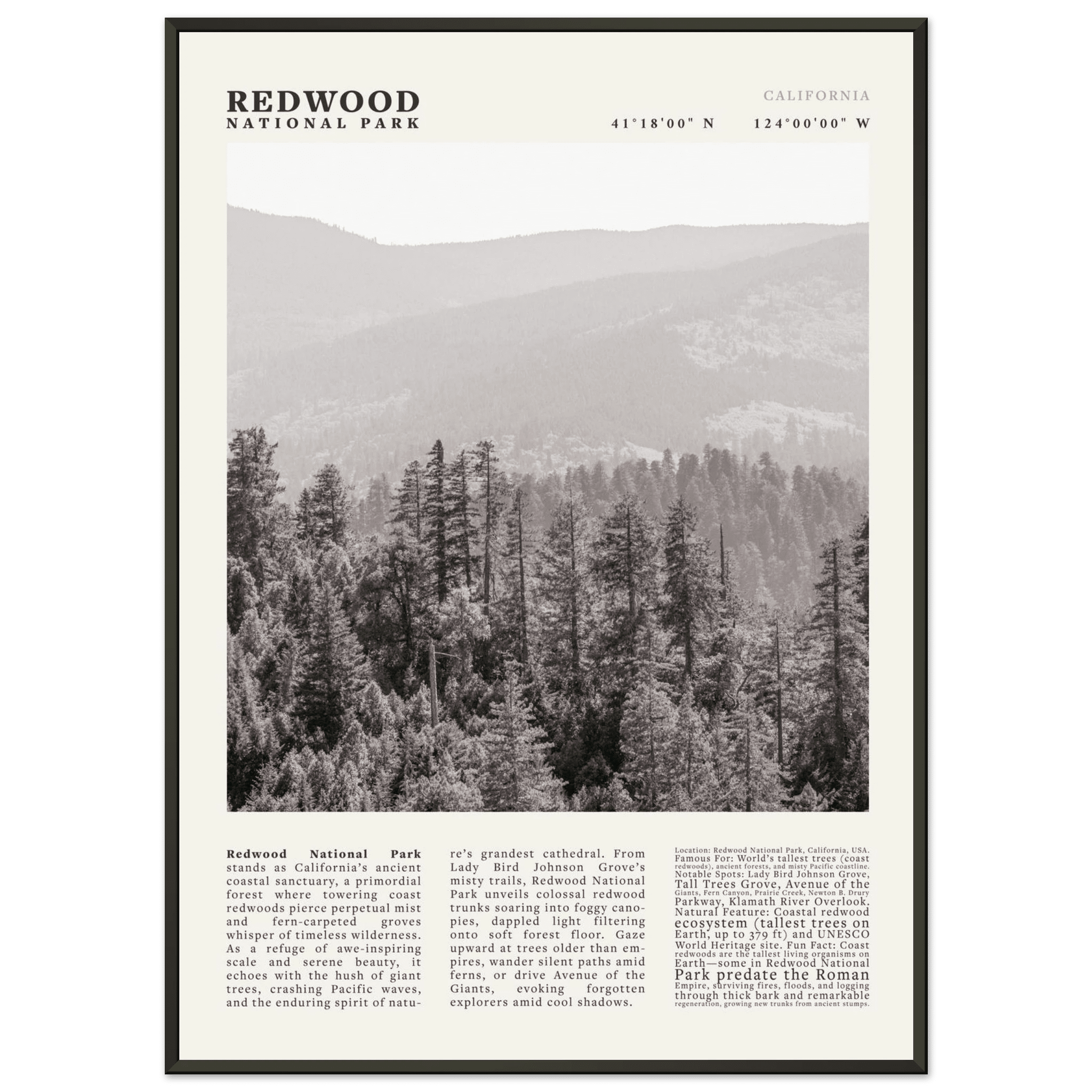 Redwood National Park Poster Black and White – Vintage Foggy Redwood Forest Print - Evergreen Posters