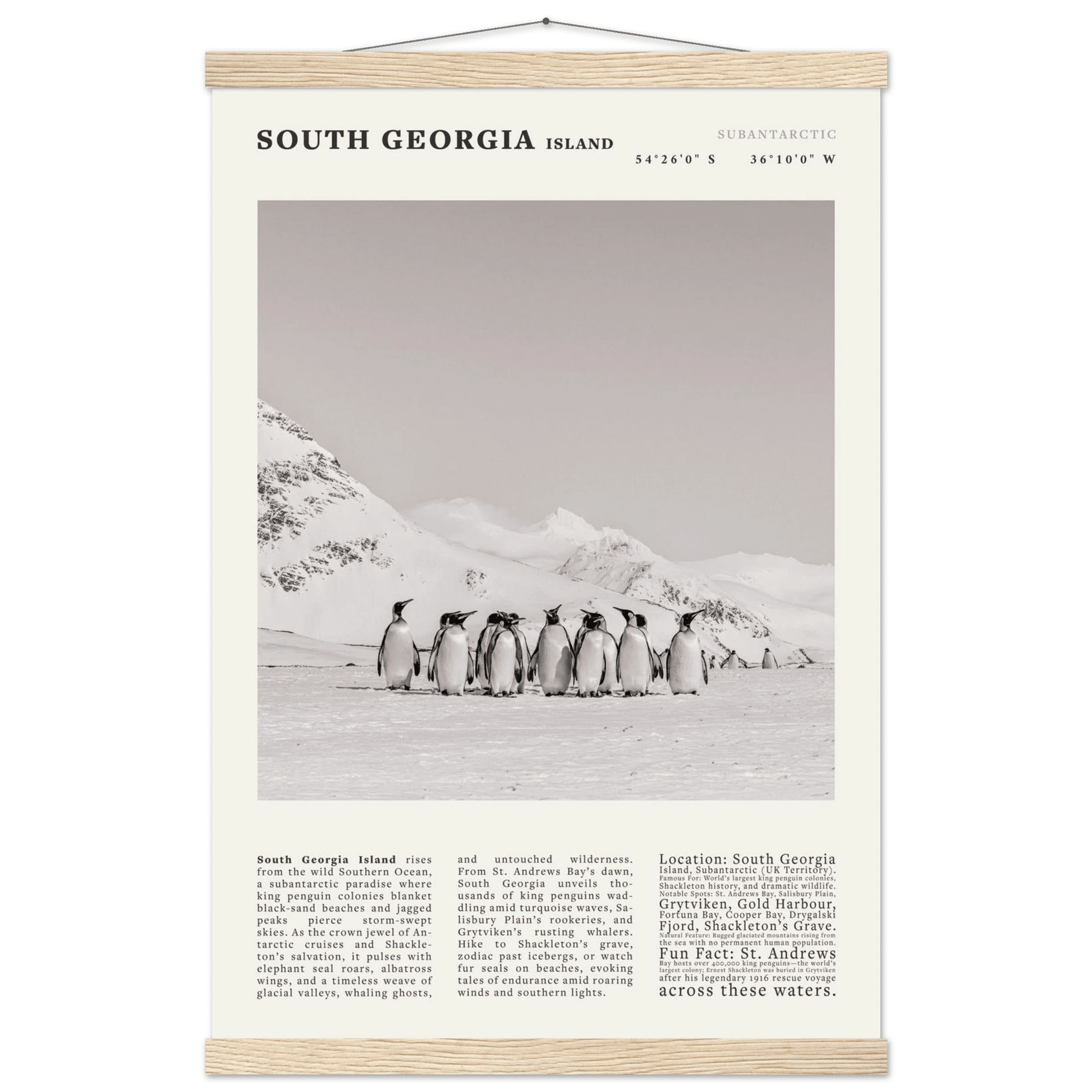South Georgia Island Black and White Vintage Poster - Evergreen Posters
