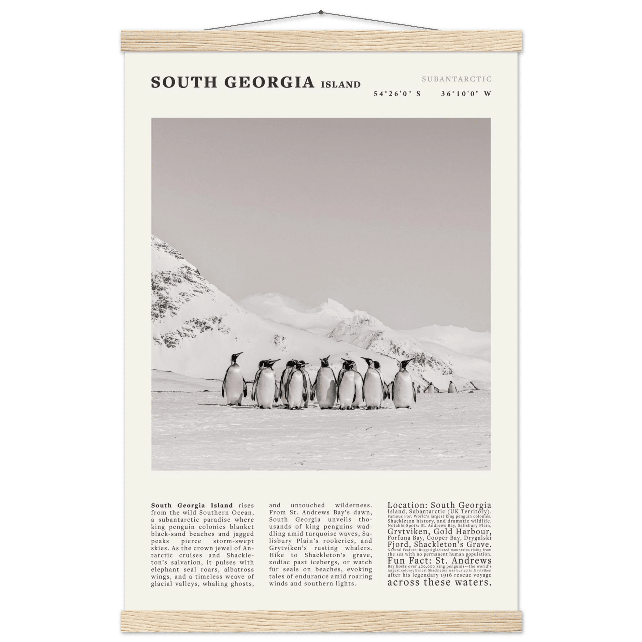 South Georgia Island Black and White Vintage Poster - Evergreen Posters
