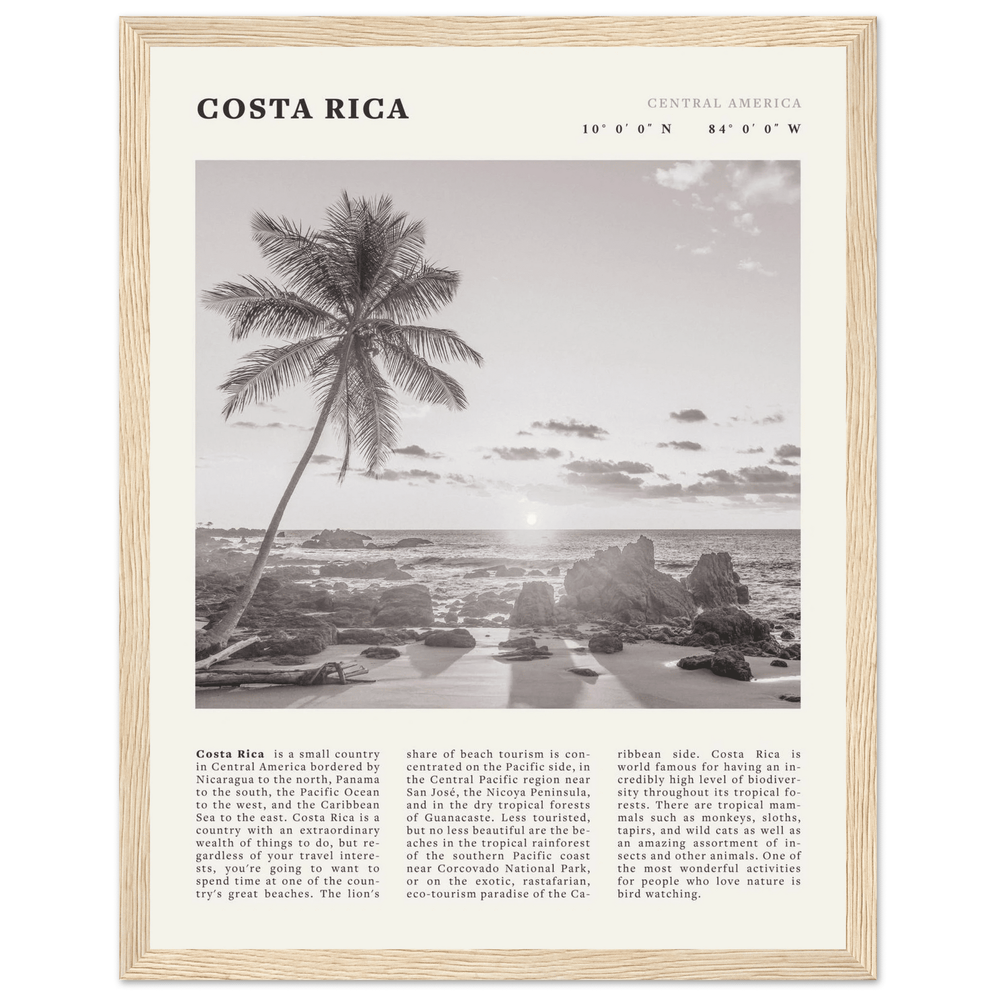Costa Rica Poster | Black & White Palm Tree Beach Wall Art | Travel Print Decor - Evergreen Posters