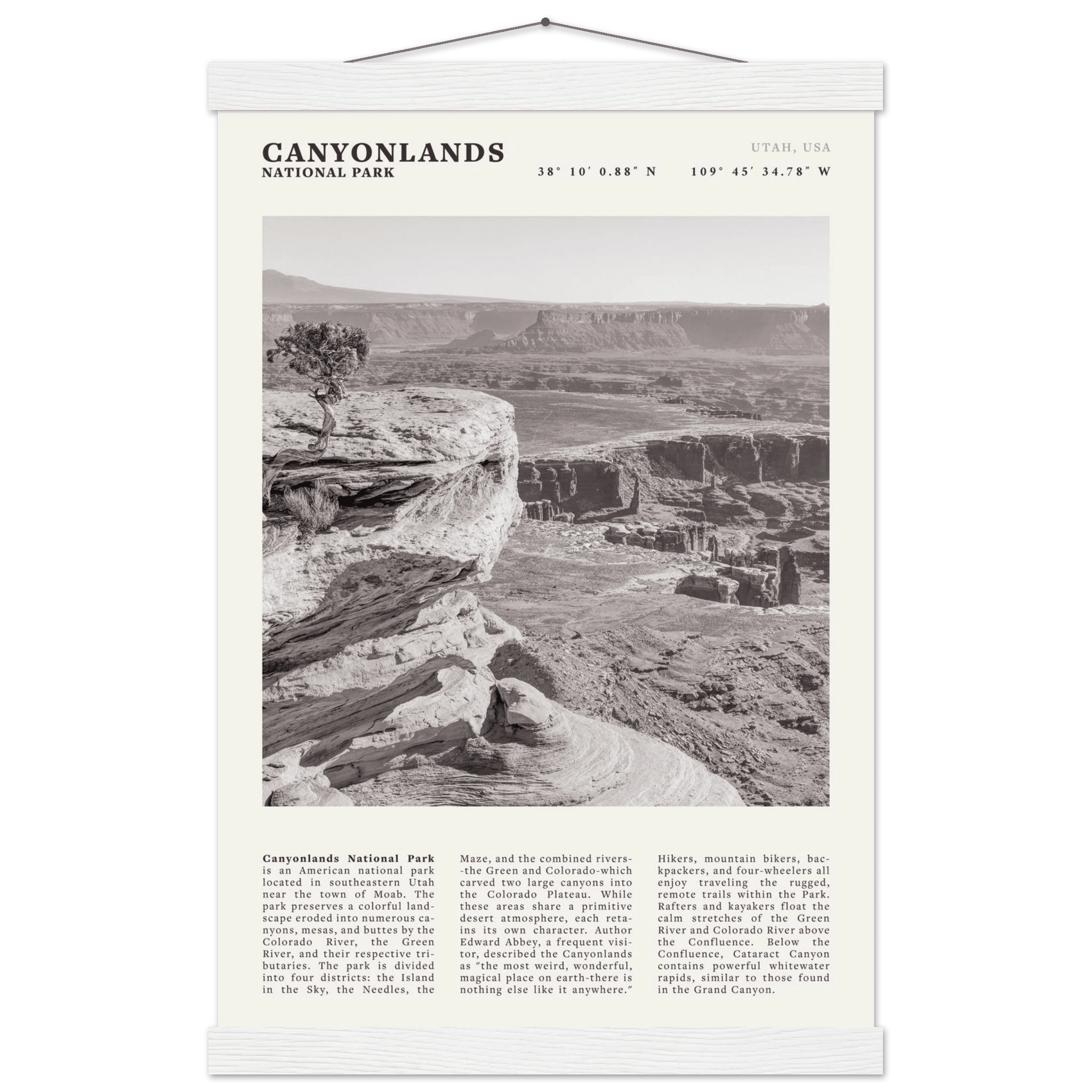 Canyonlands National Park Poster | Black & White Utah Wall Art | Canyon Travel Print - Evergreen Posters