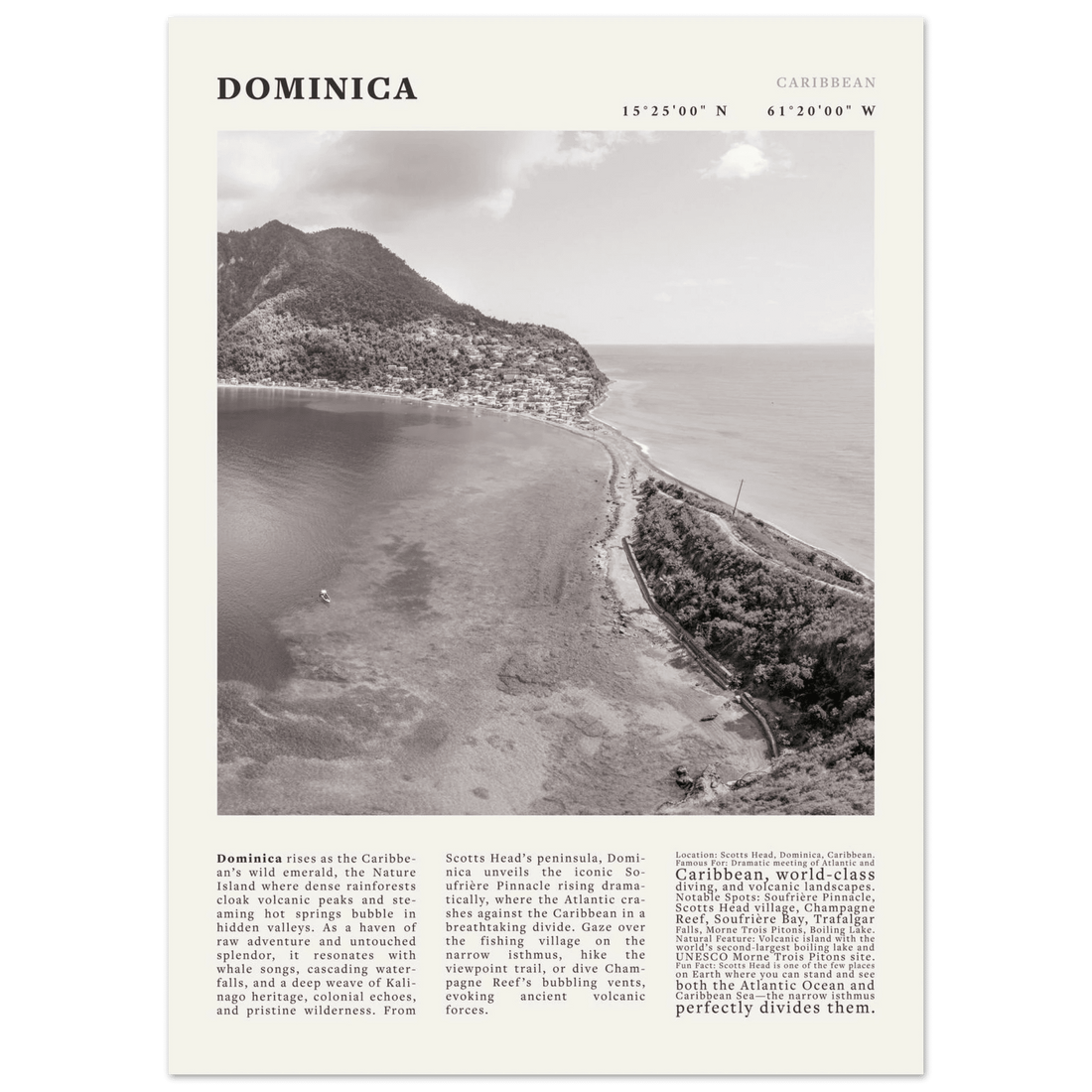 Dominica Poster Black and White – Vintage Caribbean Rainforest Island Print (Digital & Printed Options) - Evergreen Posters