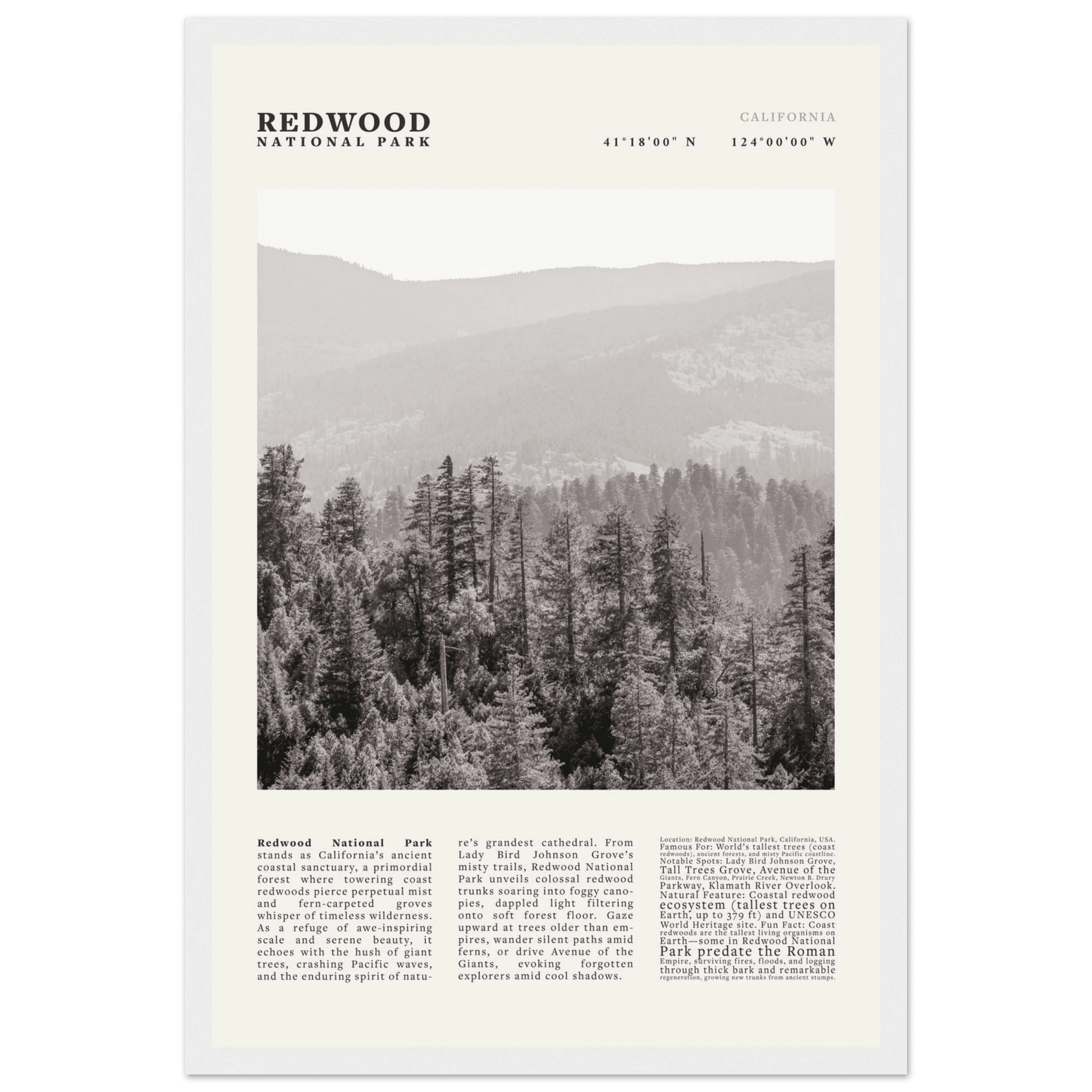 Redwood National Park Poster Black and White – Vintage Foggy Redwood Forest Print - Evergreen Posters