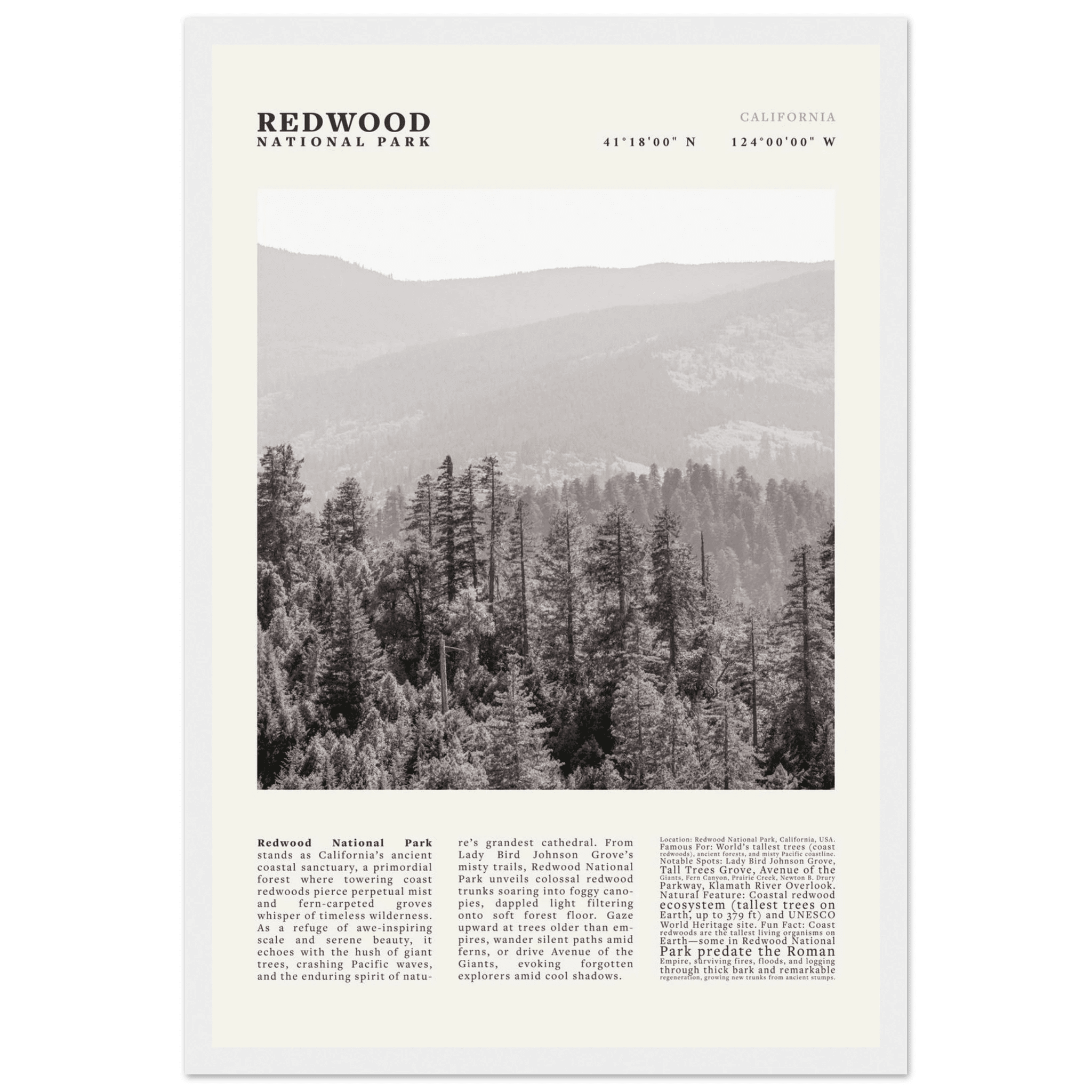 Redwood National Park Poster Black and White – Vintage Foggy Redwood Forest Print - Evergreen Posters