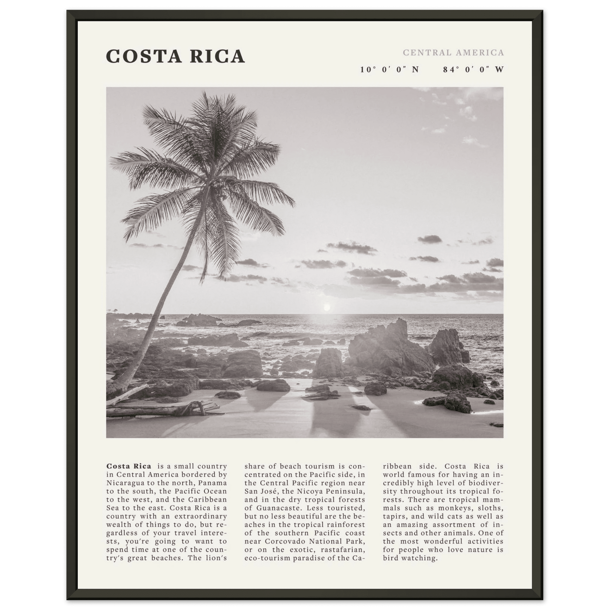 Costa Rica Poster | Black & White Palm Tree Beach Wall Art | Travel Print Decor - Evergreen Posters