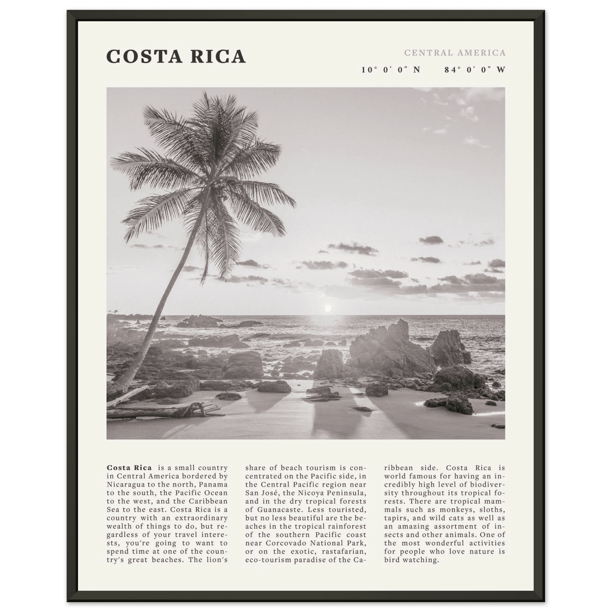 Costa Rica Poster | Black & White Palm Tree Beach Wall Art | Travel Print Decor - Evergreen Posters