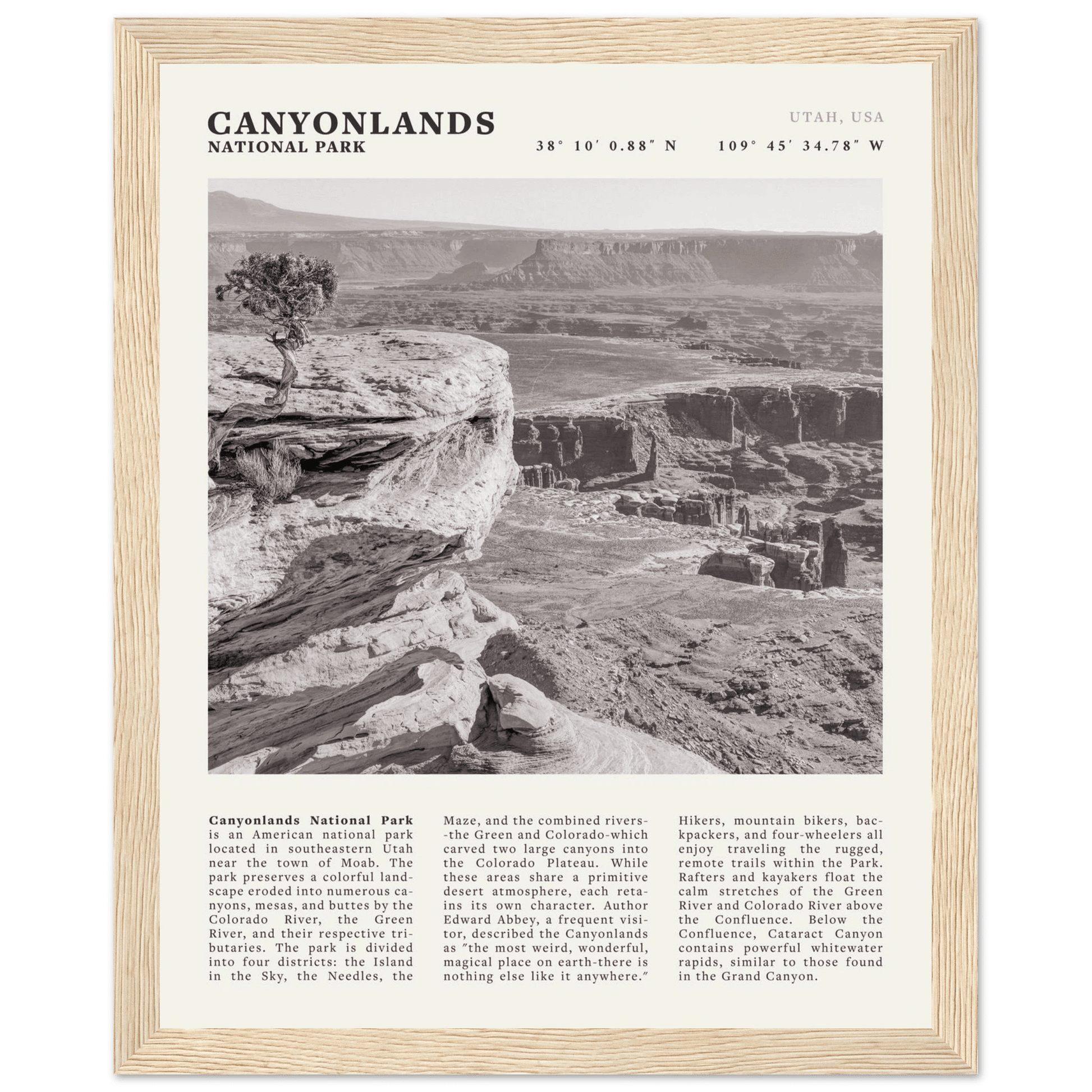 Canyonlands National Park Poster | Black & White Utah Wall Art | Canyon Travel Print - Evergreen Posters