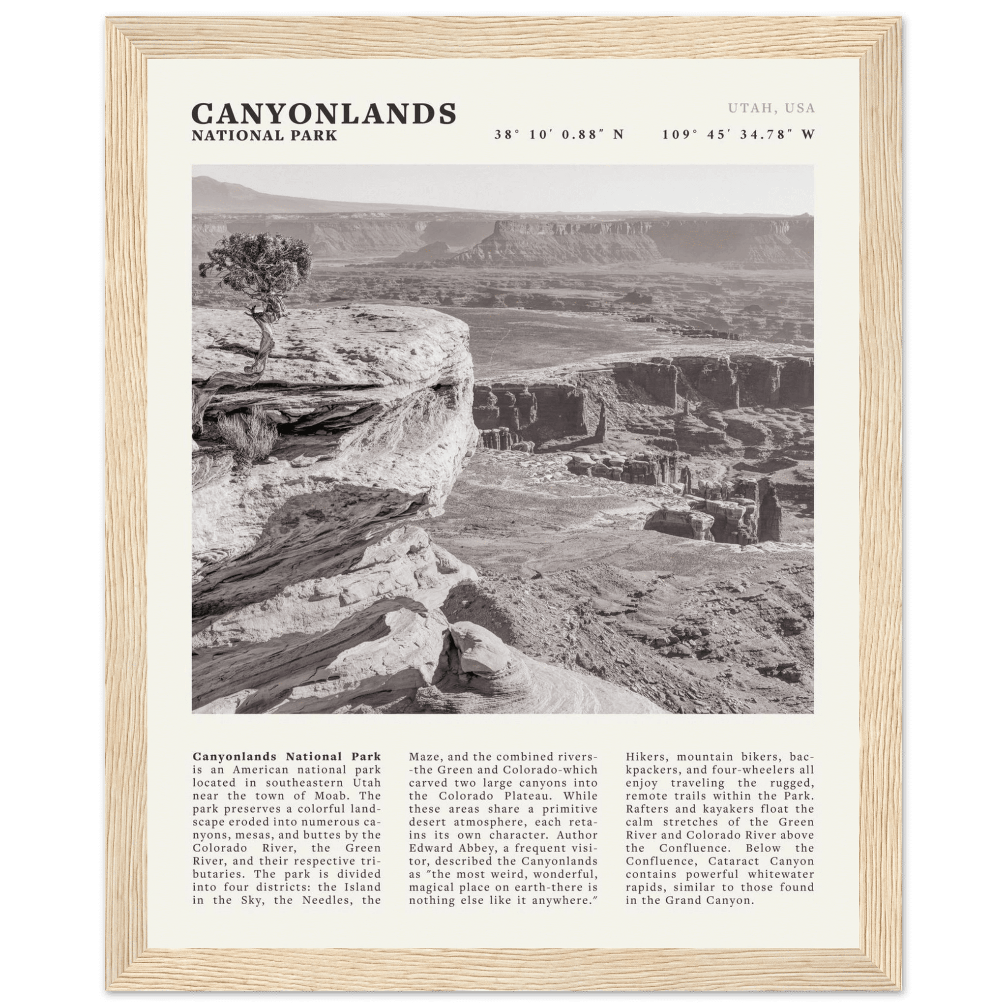 Canyonlands National Park Poster | Black & White Utah Wall Art | Canyon Travel Print - Evergreen Posters