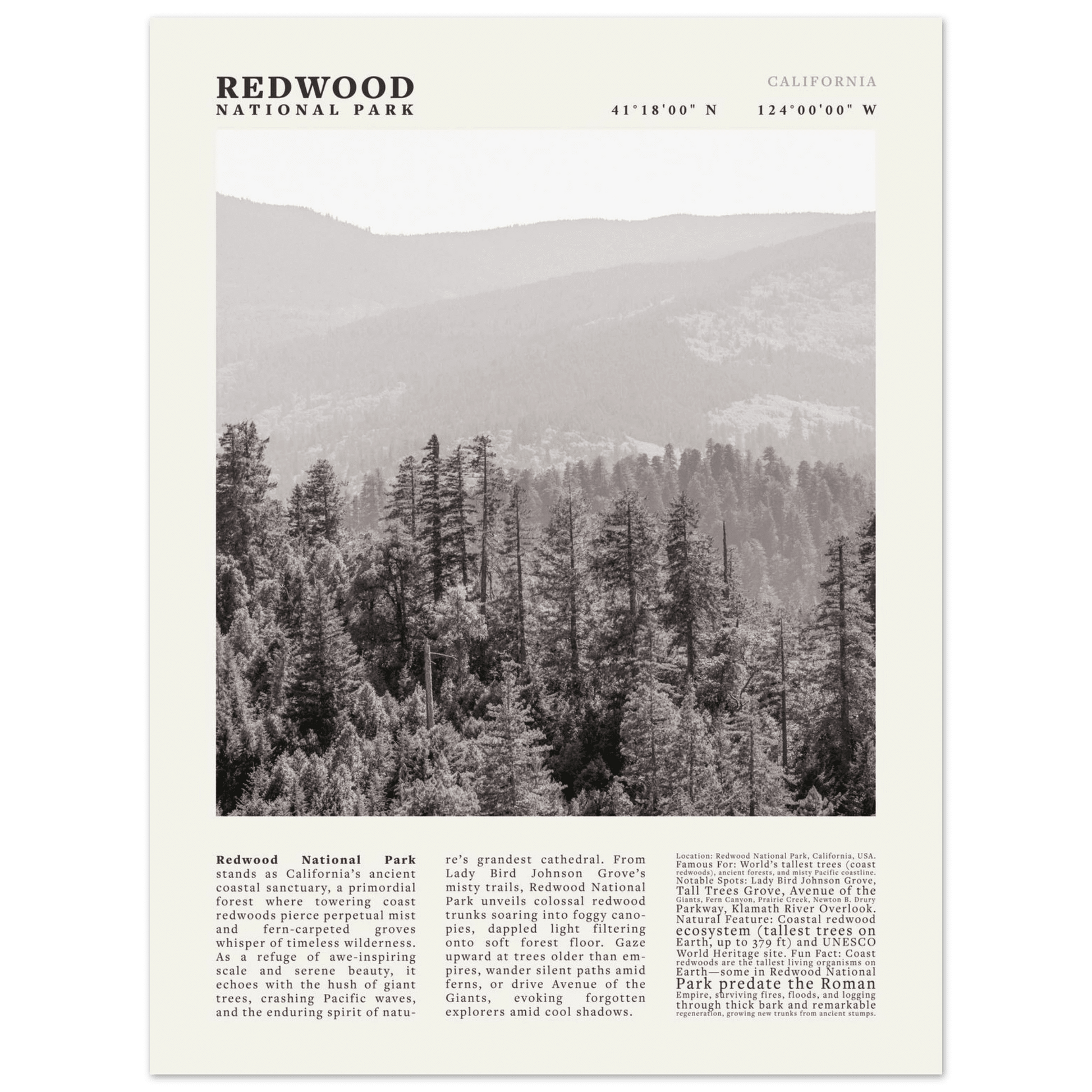 Redwood National Park Poster Black and White – Vintage Foggy Redwood Forest Print - Evergreen Posters