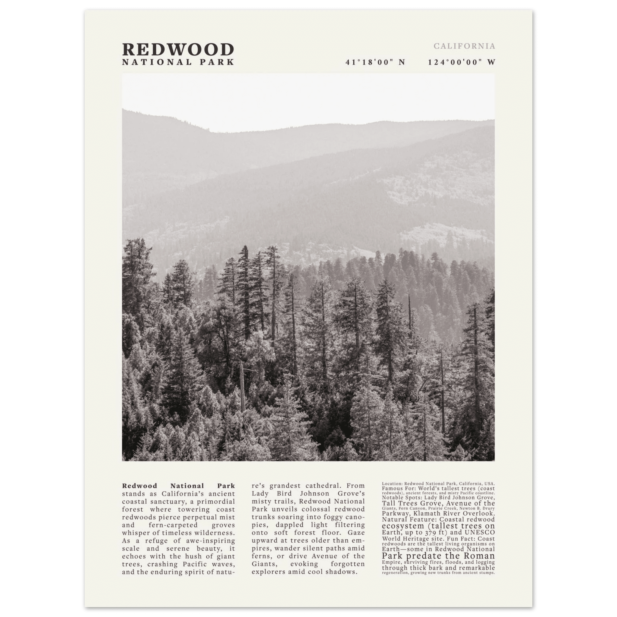 Redwood National Park Poster Black and White – Vintage Foggy Redwood Forest Print - Evergreen Posters