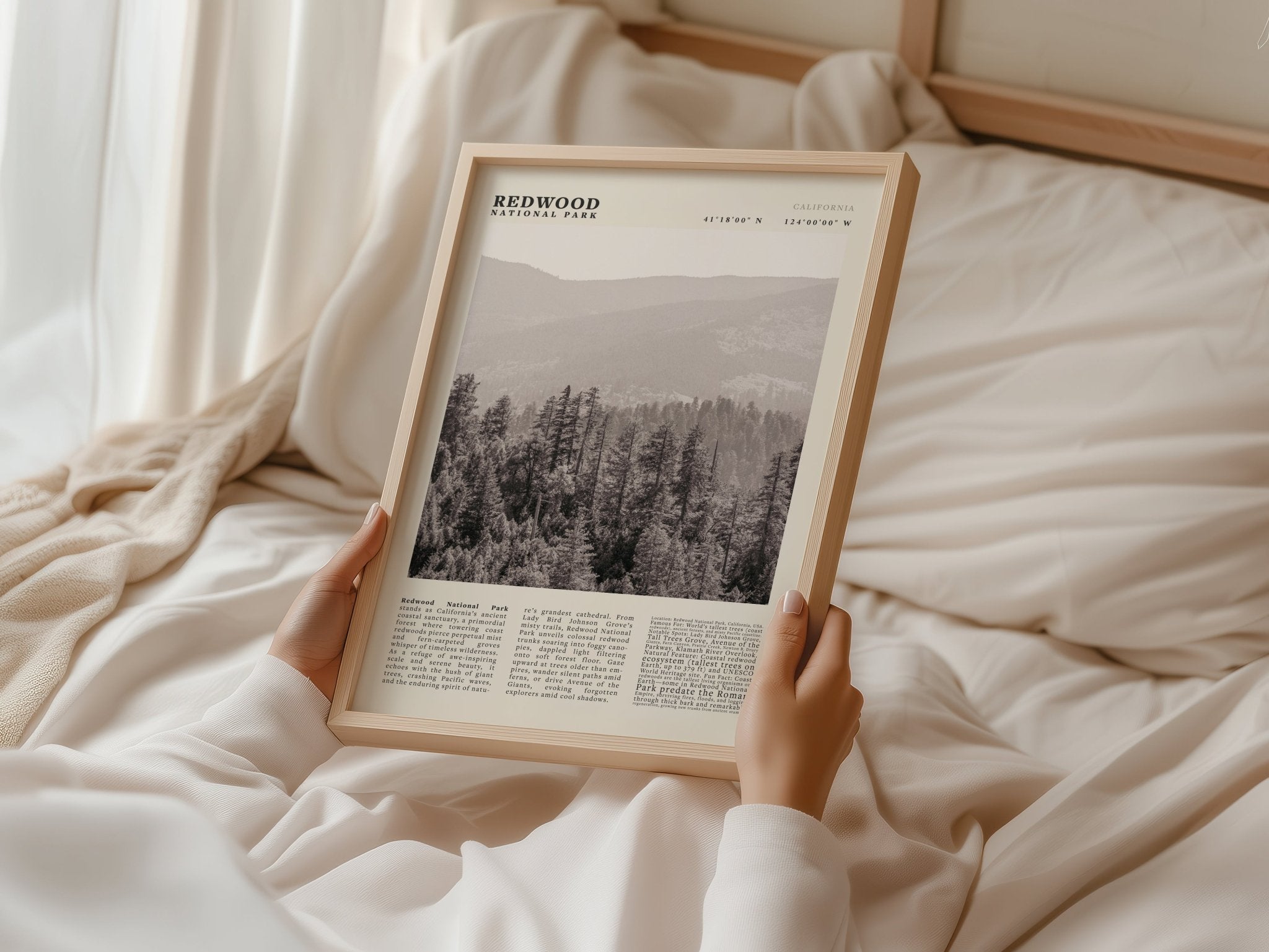 Redwood National Park Poster Black and White – Vintage Foggy Redwood Forest Print - Evergreen Posters