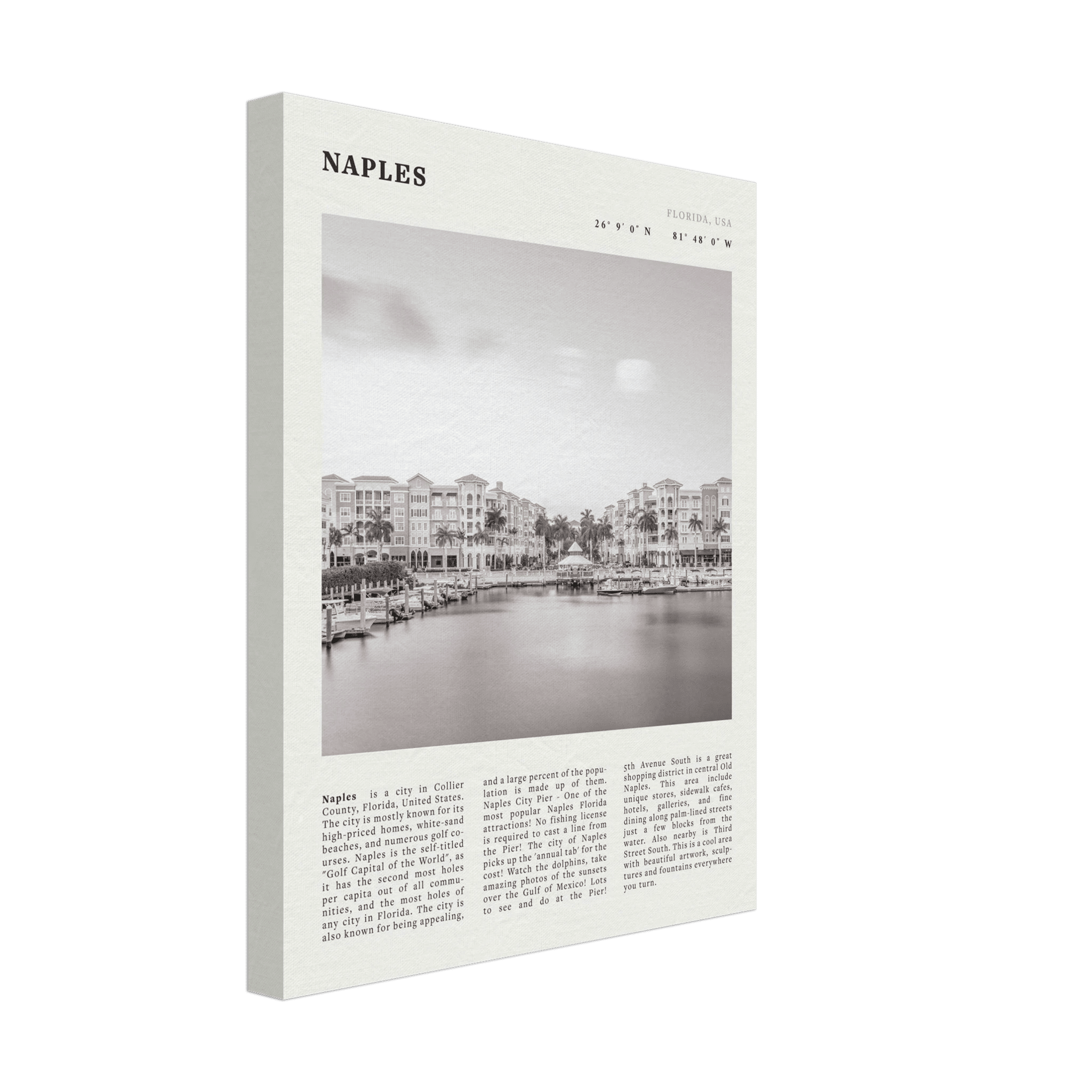 Naples Florida Poster | Black & White Gulf Coast Wall Art | FL Travel Print - Evergreen Posters