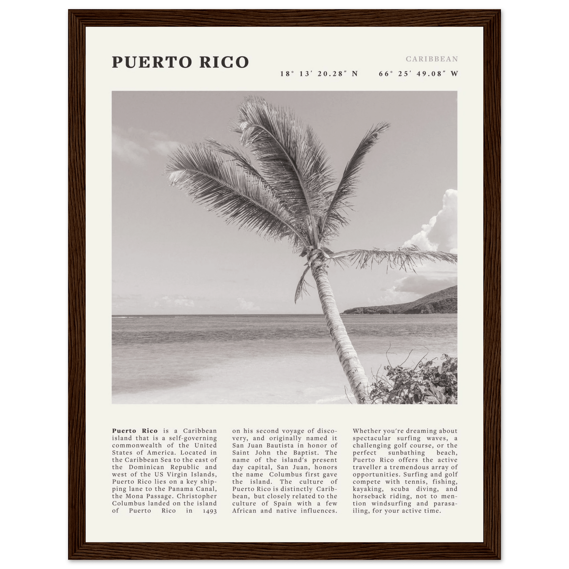 Puerto Rico Poster Black and White – Vintage Caribbean Palm Beach Print (Digital & Printed Options) - Evergreen Posters