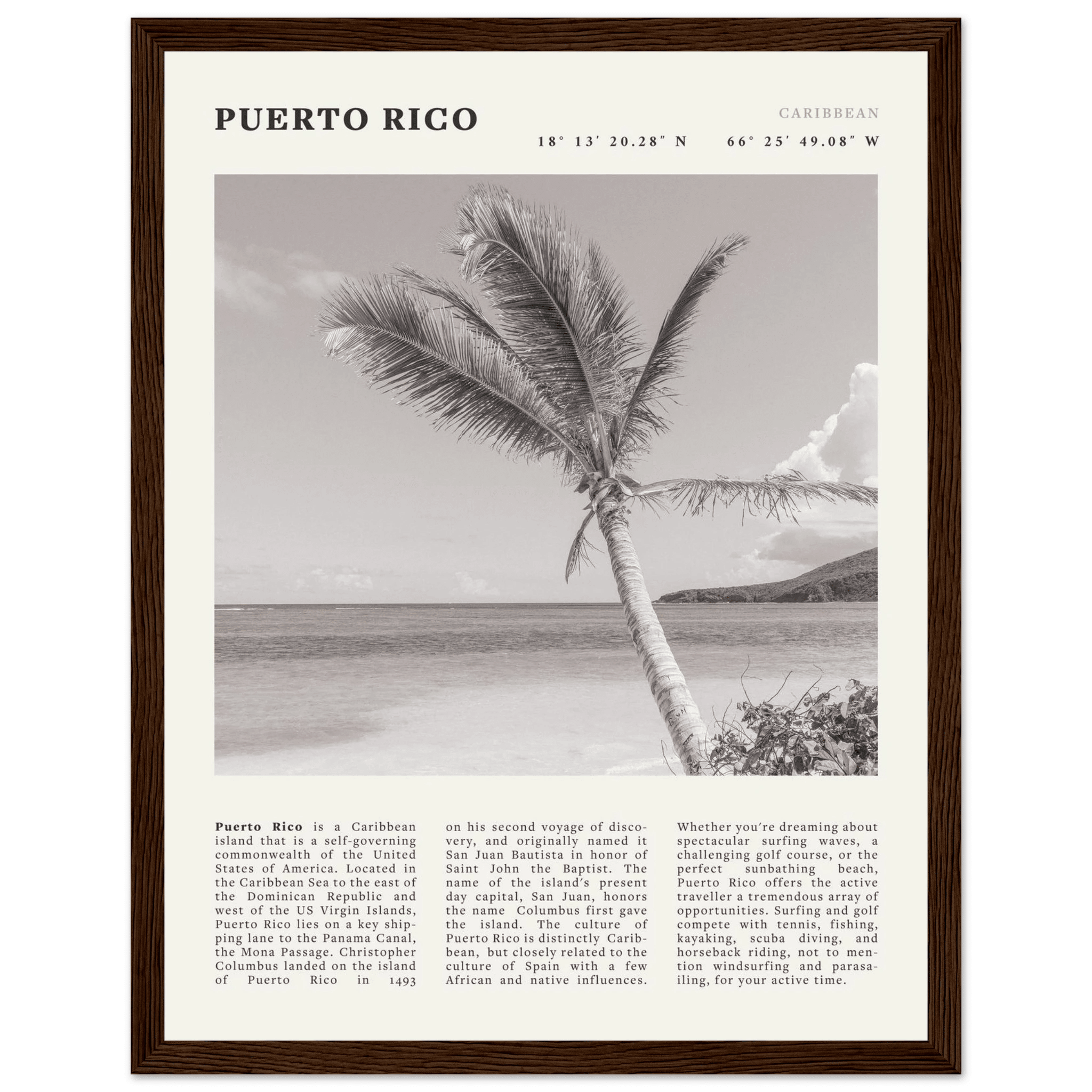 Puerto Rico Poster Black and White – Vintage Caribbean Palm Beach Print (Digital & Printed Options) - Evergreen Posters