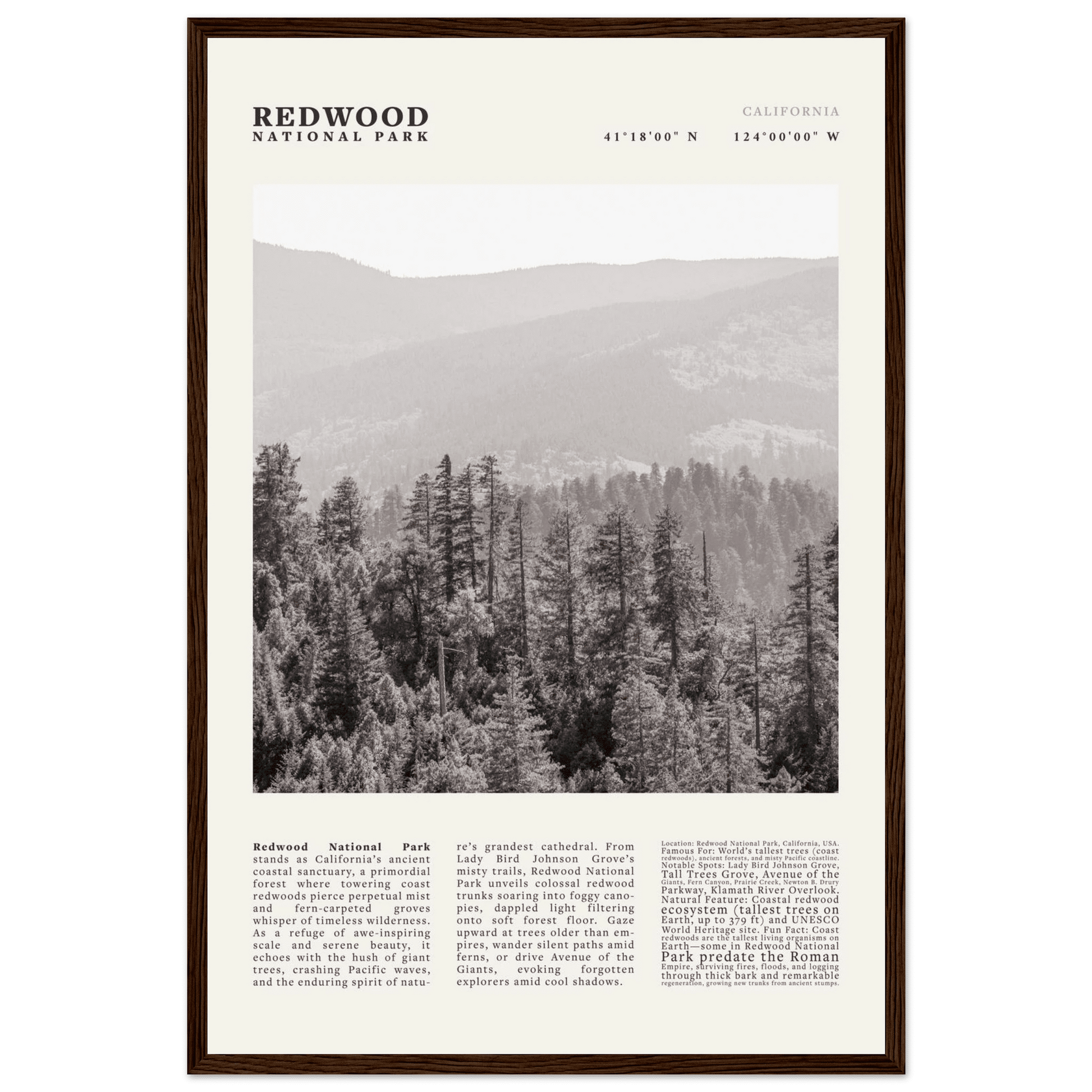 Redwood National Park Poster Black and White – Vintage Foggy Redwood Forest Print - Evergreen Posters