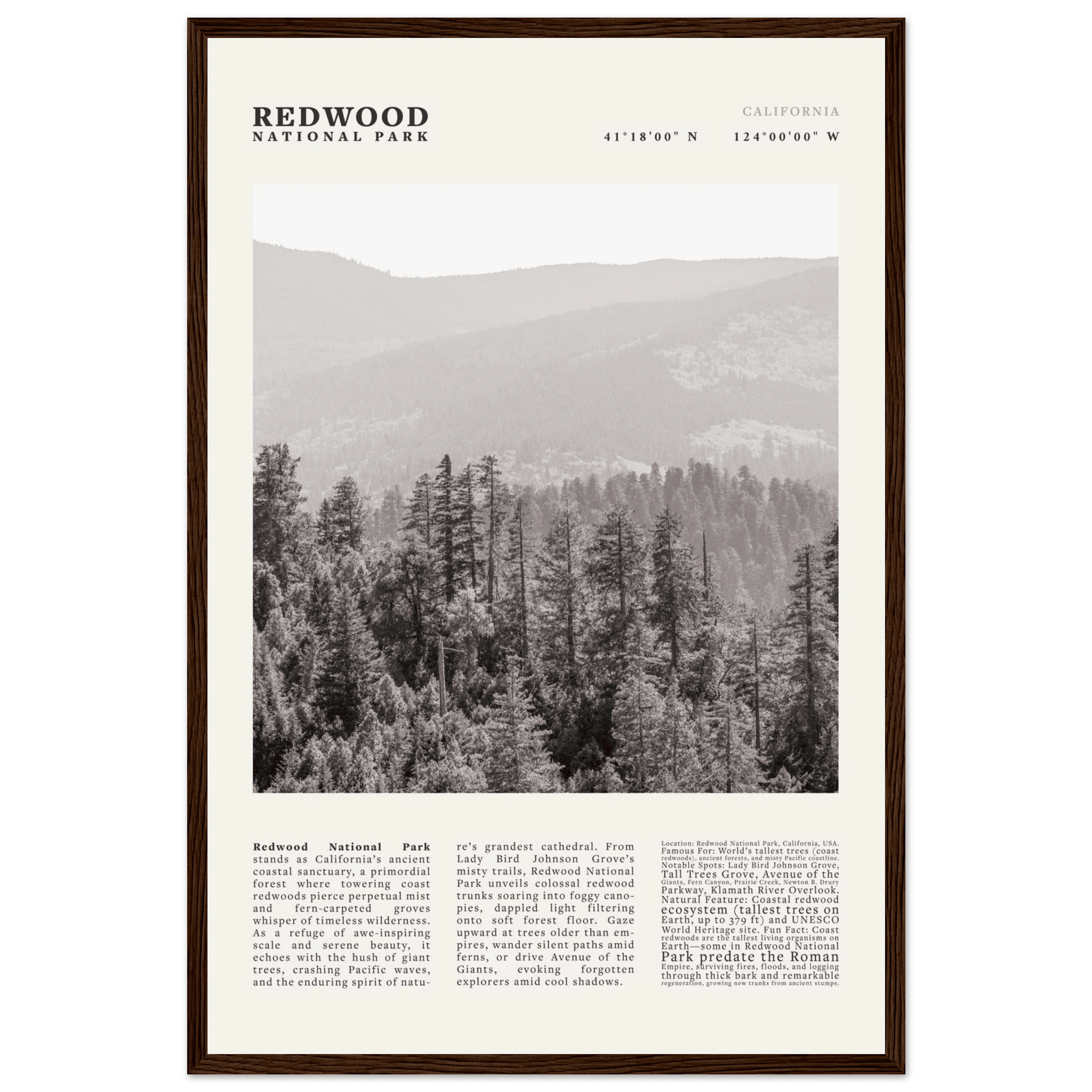 Redwood National Park Poster Black and White – Vintage Foggy Redwood Forest Print - Evergreen Posters