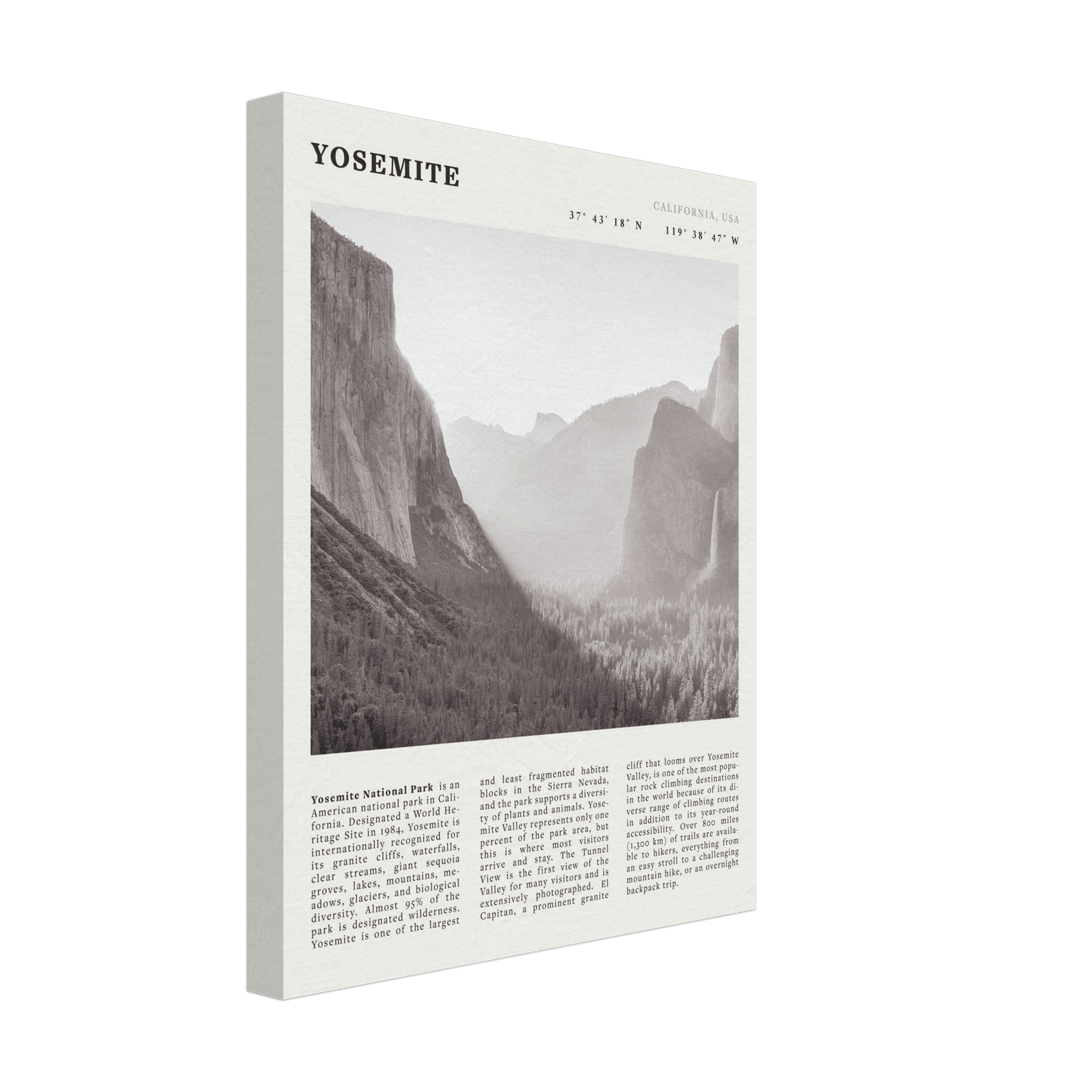 Yosemite Poster | Black & White National Park Wall Art | California Nature Print - Evergreen Posters
