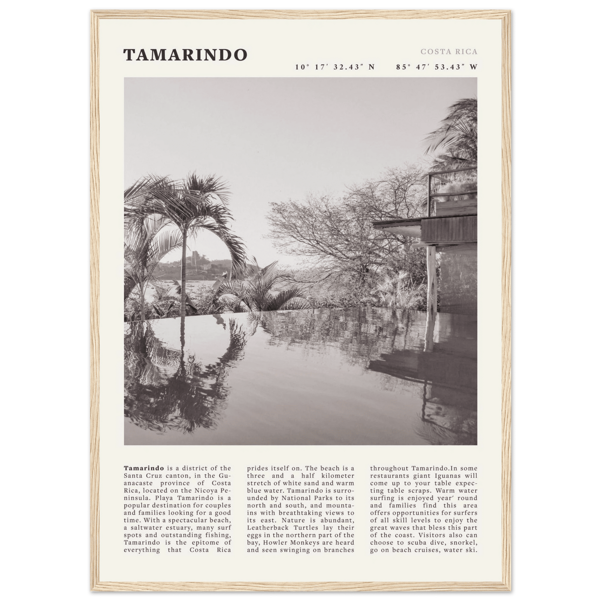 Tamarindo Poster | Black & White Costa Rica Beach Wall Art | Surf Travel Print - Evergreen Posters