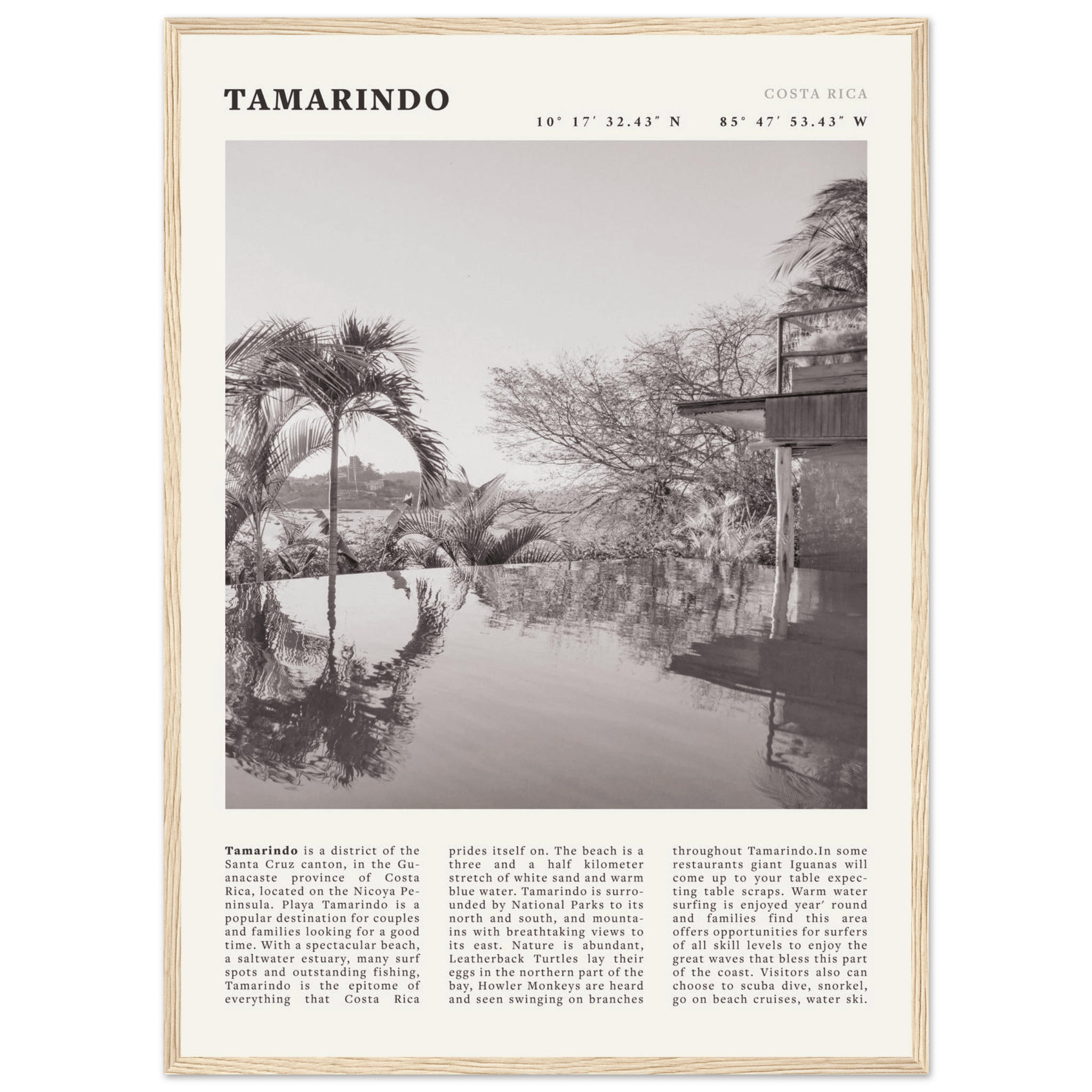 Tamarindo Poster | Black & White Costa Rica Beach Wall Art | Surf Travel Print - Evergreen Posters