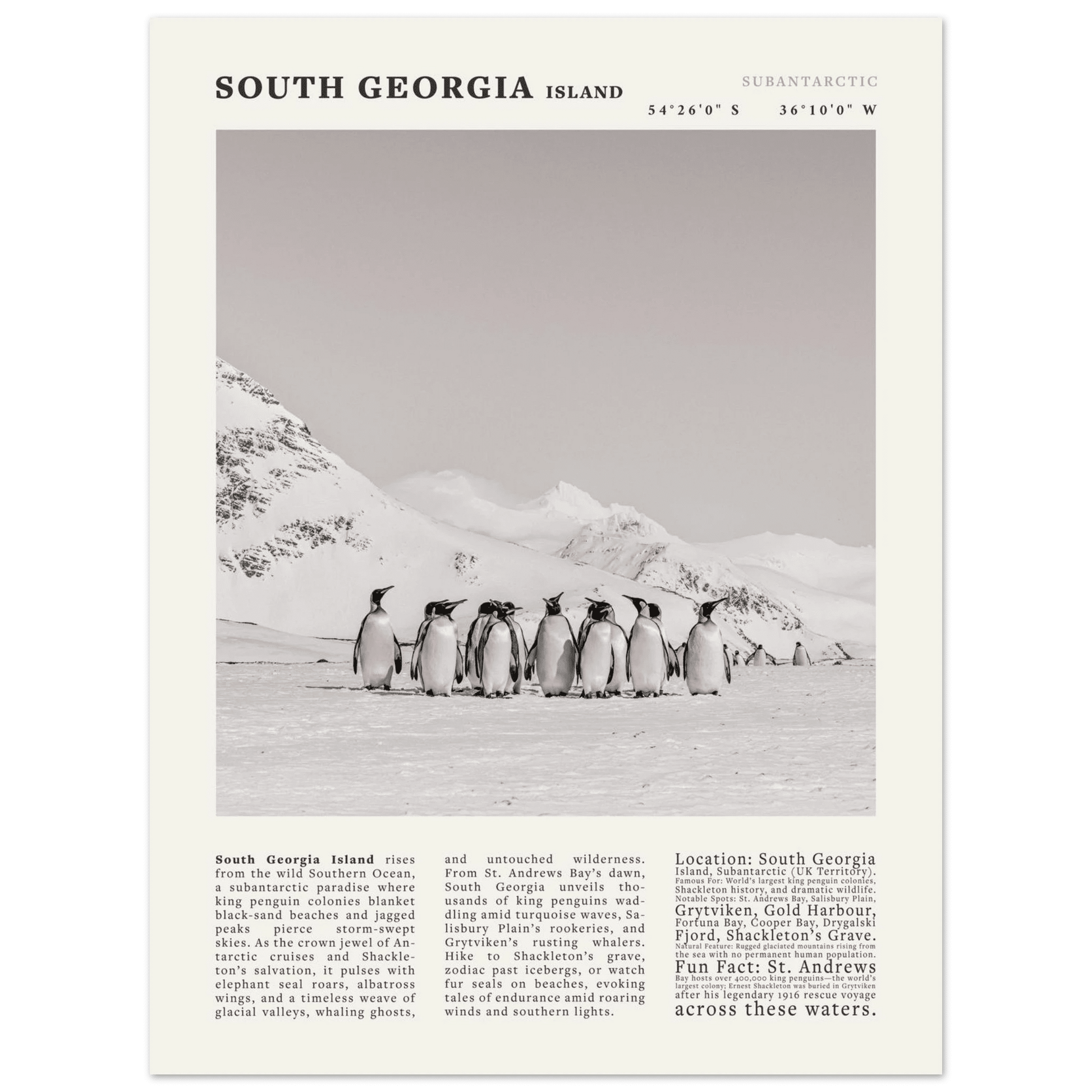 South Georgia Island Black and White Vintage Poster - Evergreen Posters
