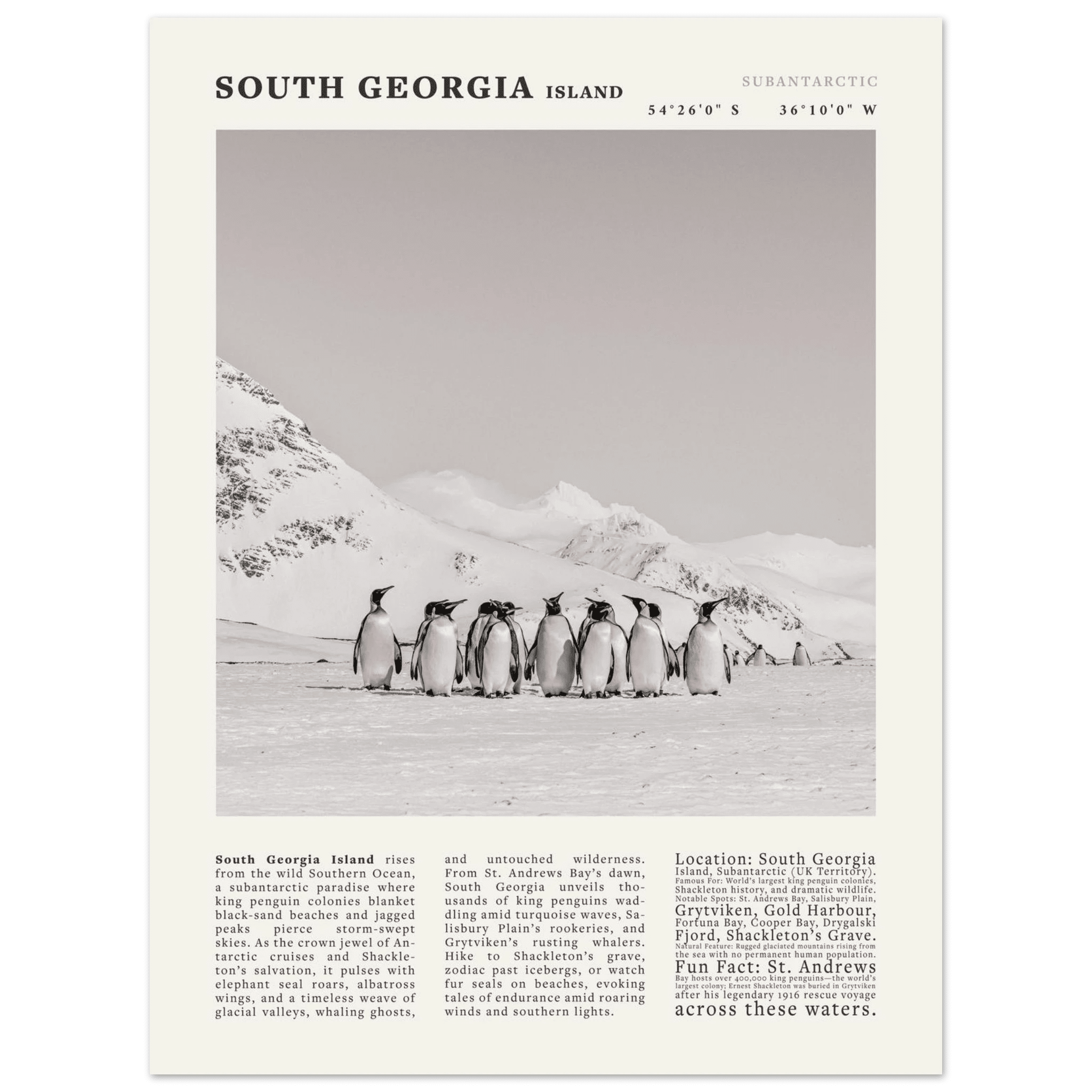South Georgia Island Black and White Vintage Poster - Evergreen Posters