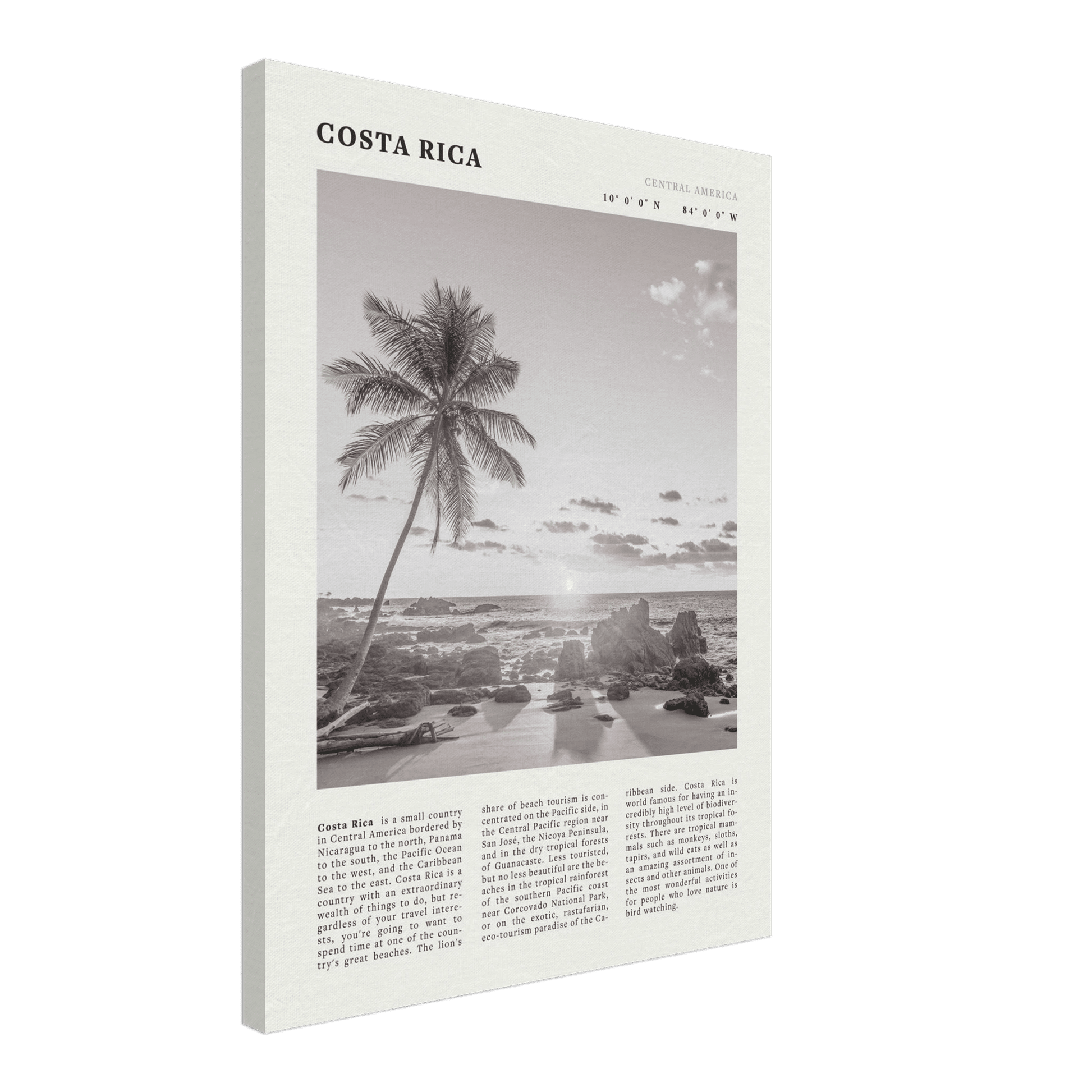 Costa Rica Poster | Black & White Palm Tree Beach Wall Art | Travel Print Decor - Evergreen Posters