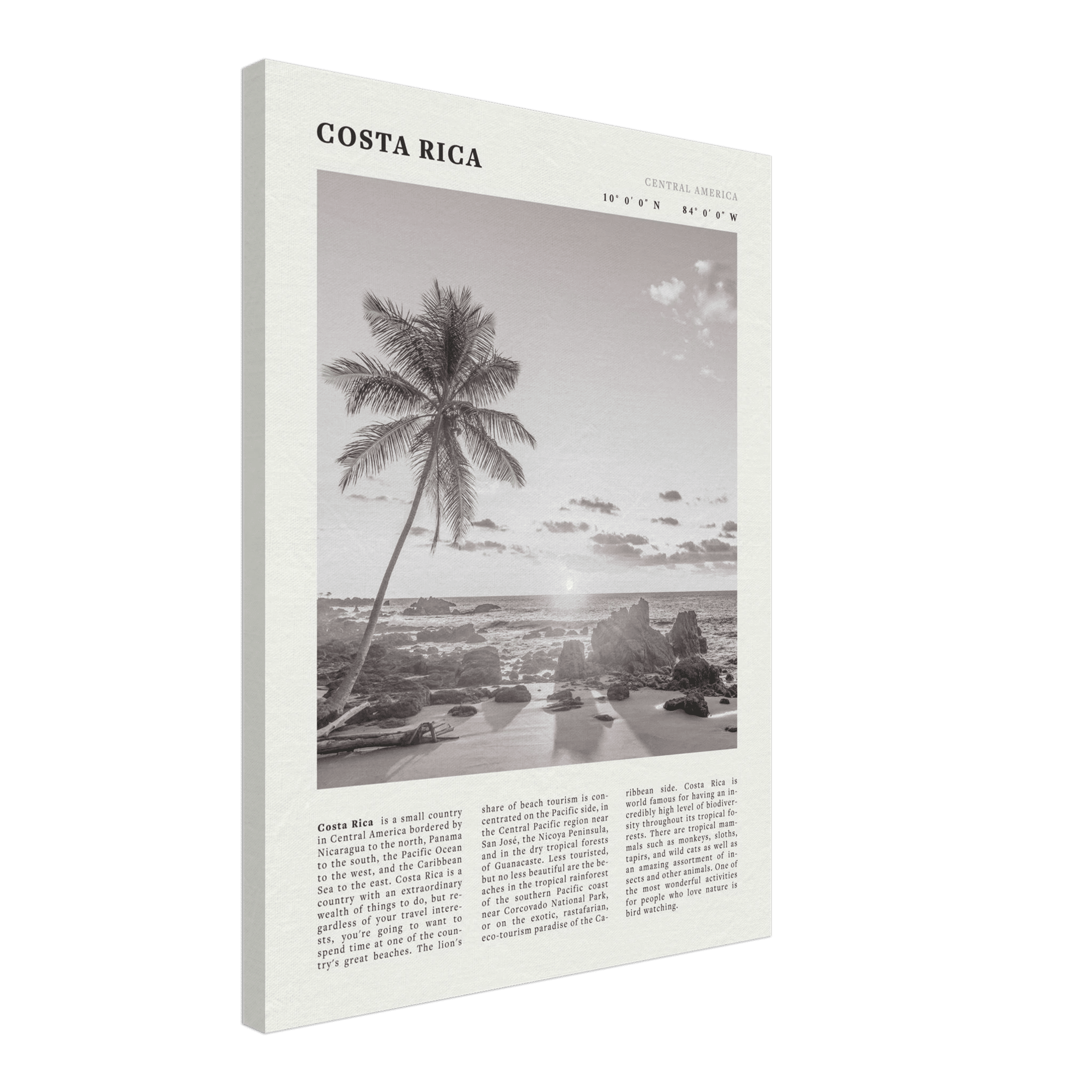 Costa Rica Poster | Black & White Palm Tree Beach Wall Art | Travel Print Decor - Evergreen Posters