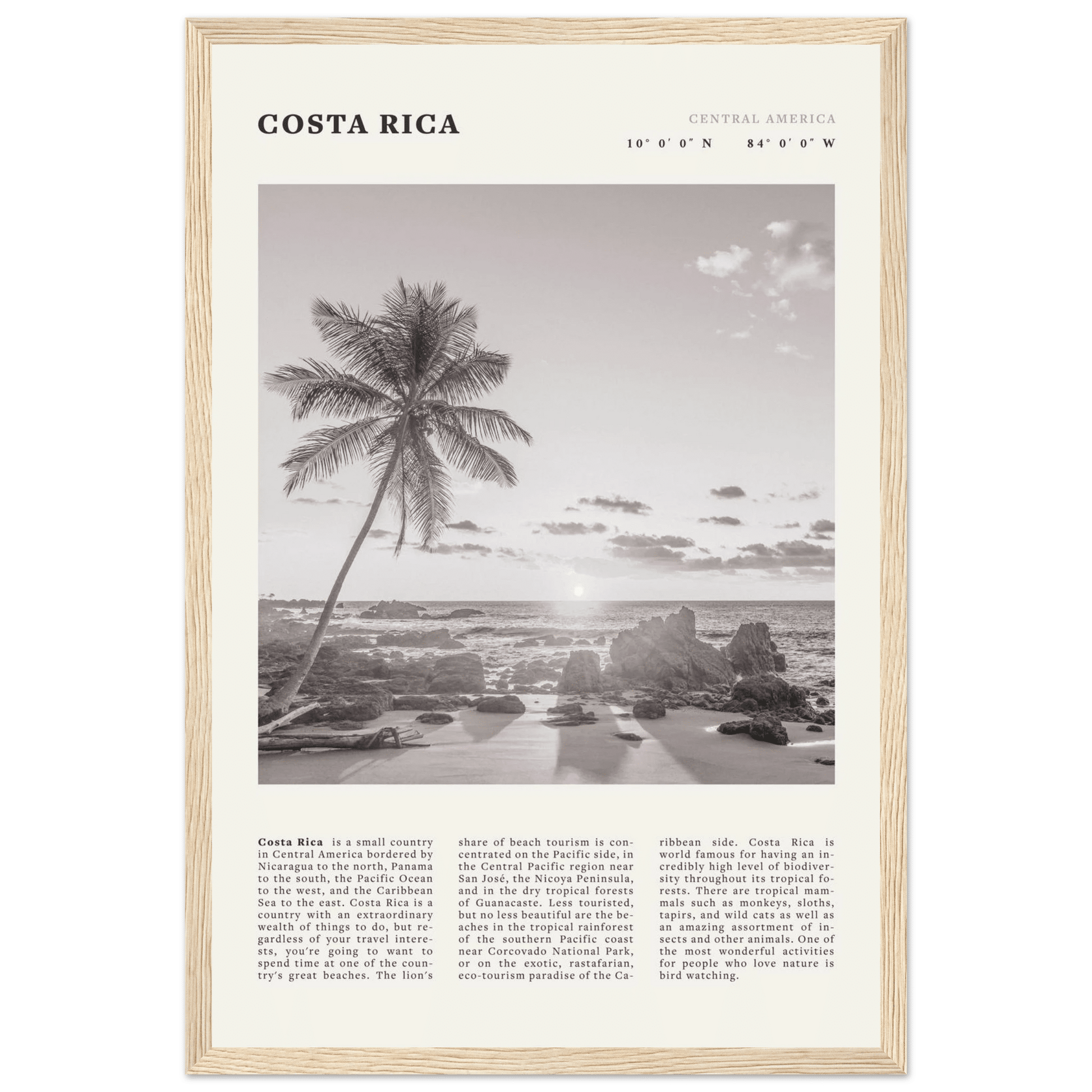 Costa Rica Poster | Black & White Palm Tree Beach Wall Art | Travel Print Decor - Evergreen Posters