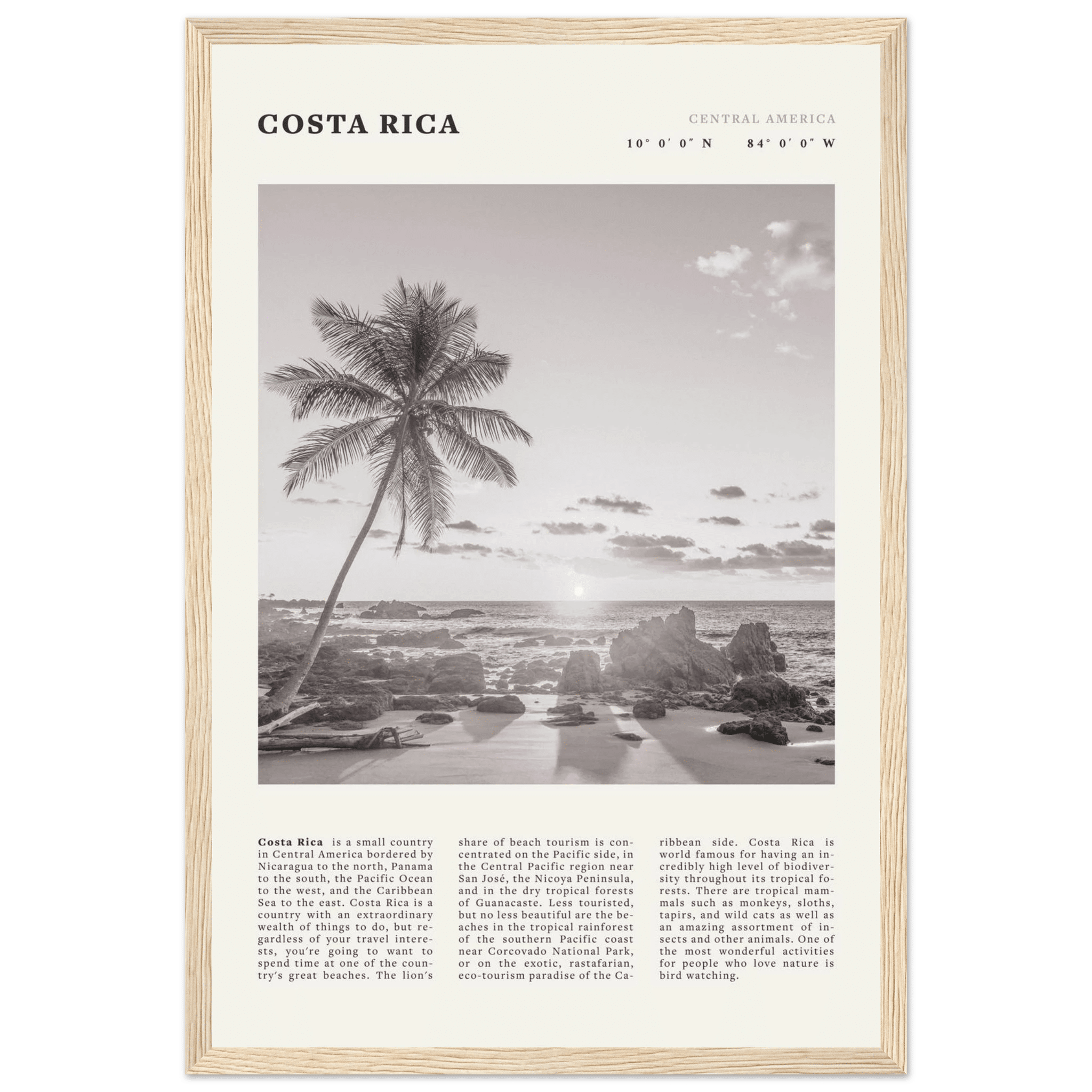 Costa Rica Poster | Black & White Palm Tree Beach Wall Art | Travel Print Decor - Evergreen Posters