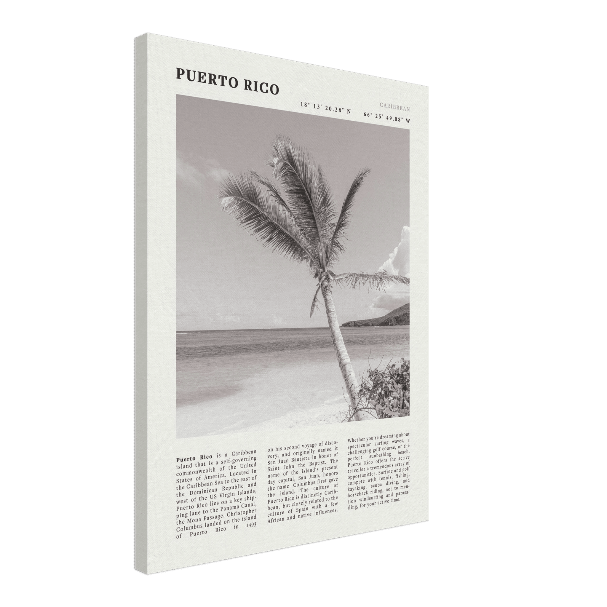 Puerto Rico Poster Black and White – Vintage Caribbean Palm Beach Print (Digital & Printed Options) - Evergreen Posters