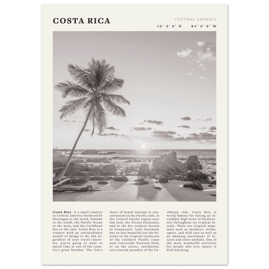 Costa Rica Poster | Black & White Palm Tree Beach Wall Art | Travel Print Decor - Evergreen Posters