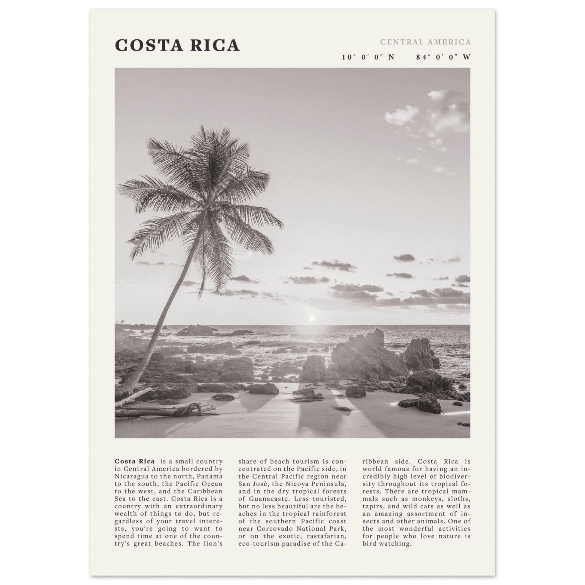 Costa Rica Poster | Black & White Palm Tree Beach Wall Art | Travel Print Decor - Evergreen Posters