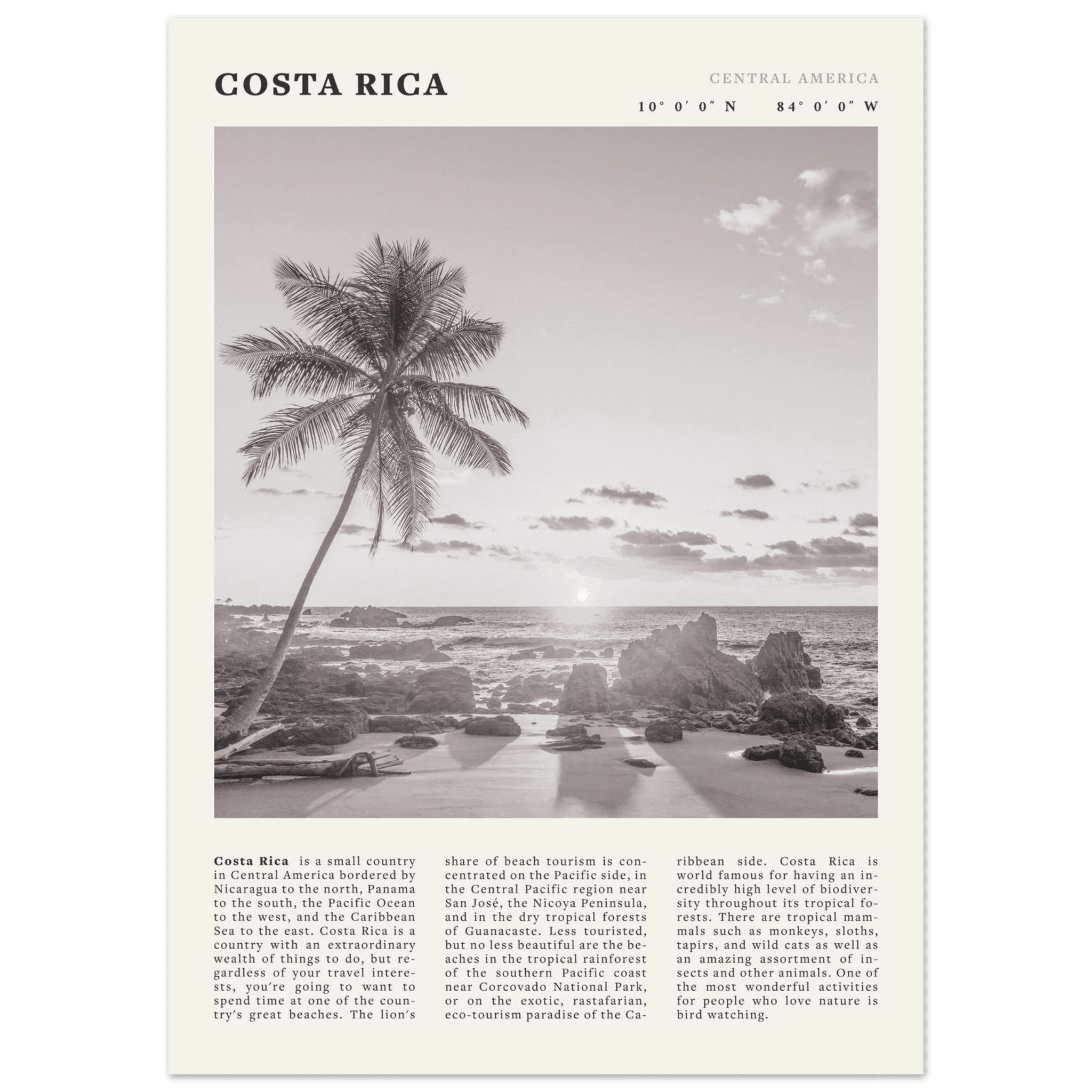 Costa Rica Poster | Black & White Palm Tree Beach Wall Art | Travel Print Decor - Evergreen Posters