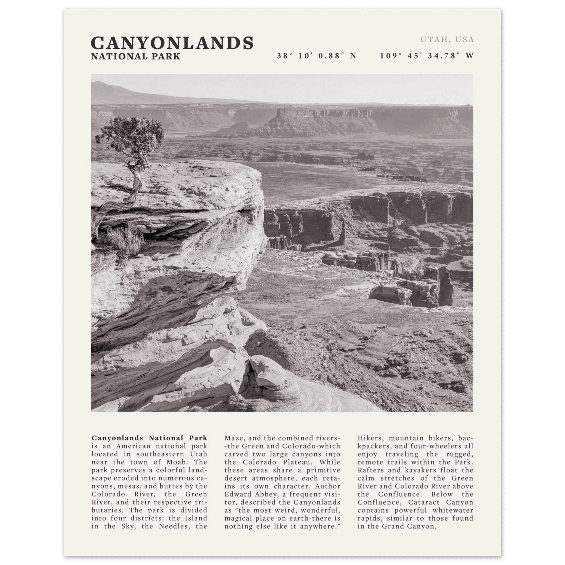 Canyonlands National Park Poster | Black & White Utah Wall Art | Canyon Travel Print - Evergreen Posters