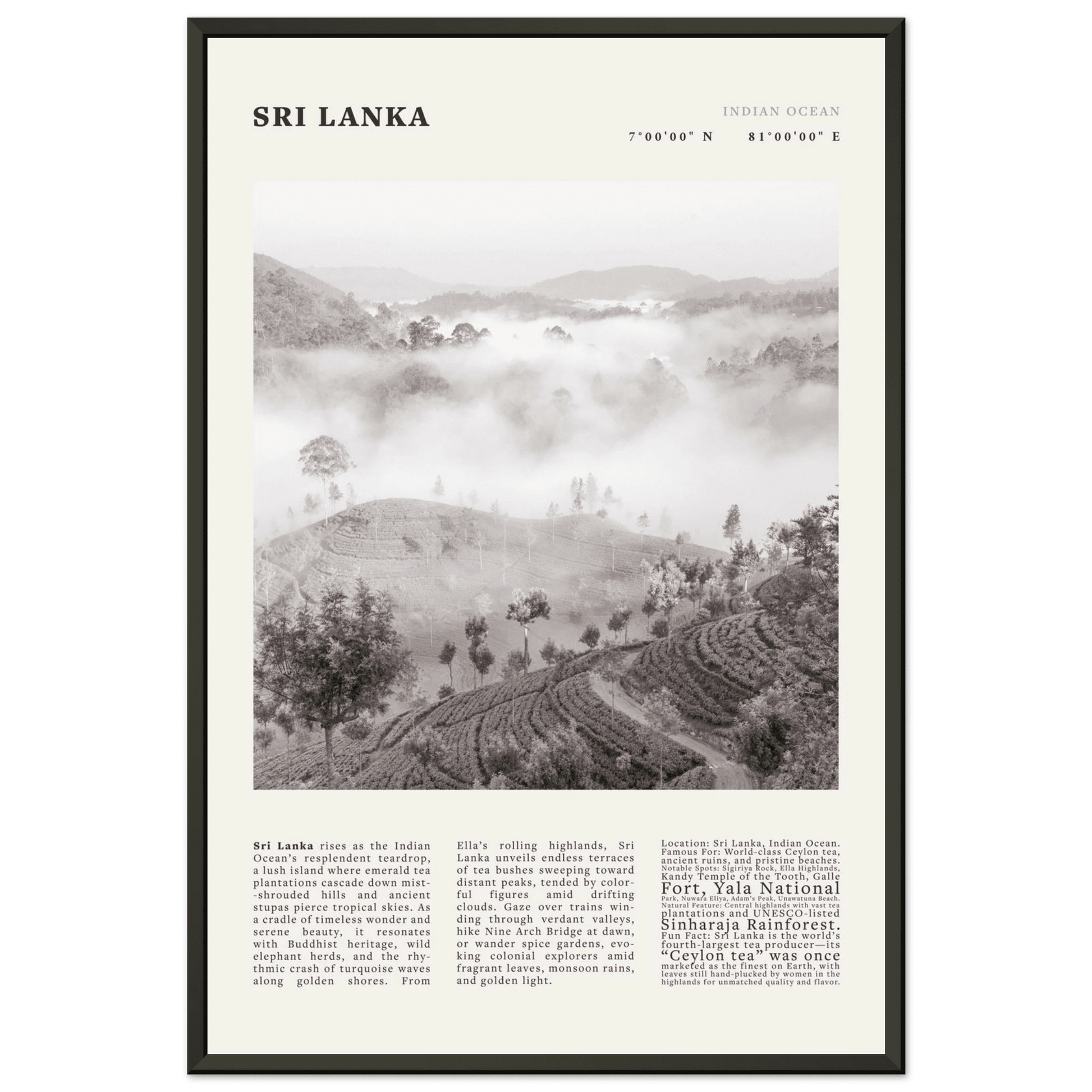 Sri Lanka Poster Black and White – Vintage Ceylon Tea Plantation Print (Digital & Printed Options) - Evergreen Posters